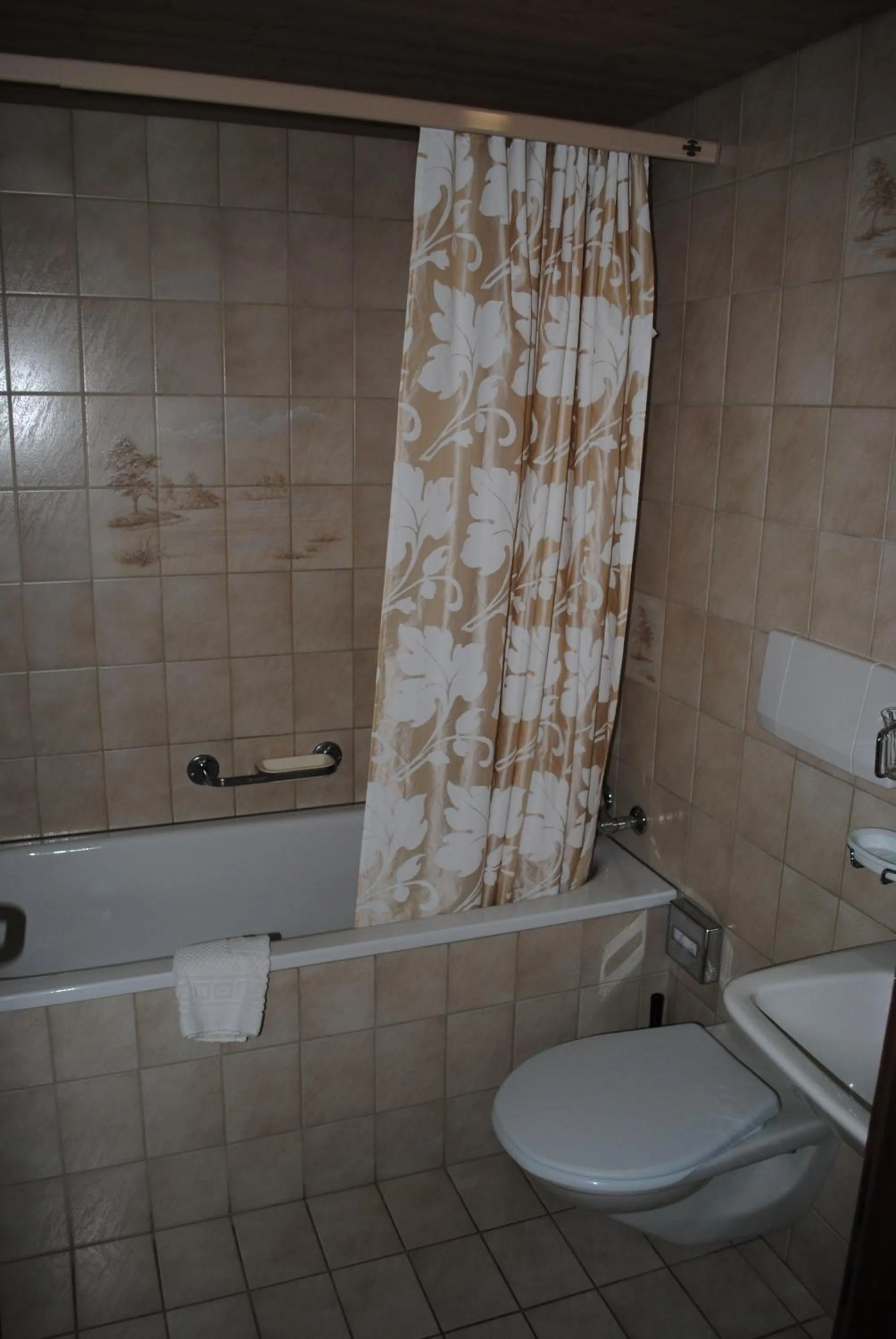 Bathroom in Hotel Des Alpes