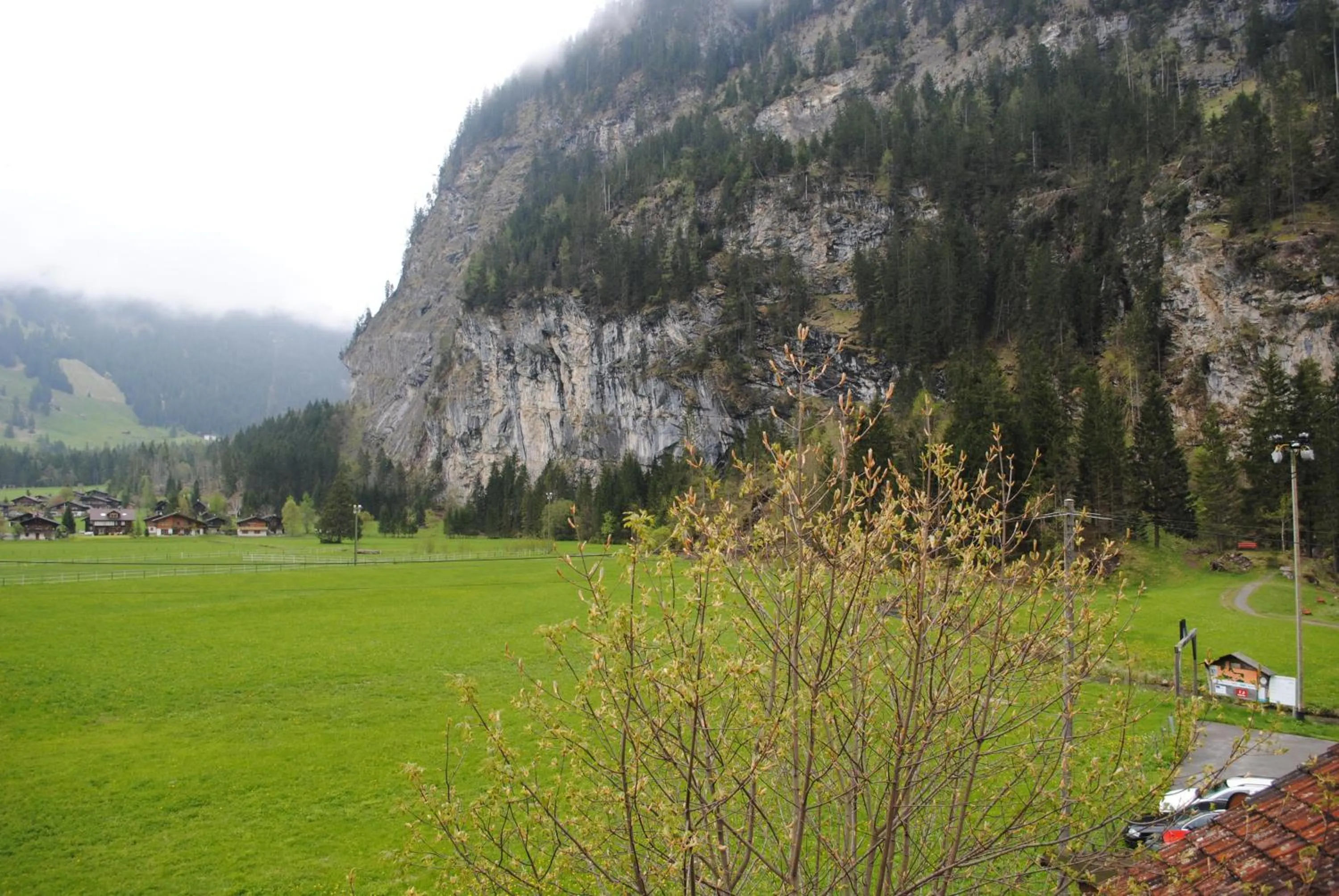 View (from property/room) in Hotel Des Alpes