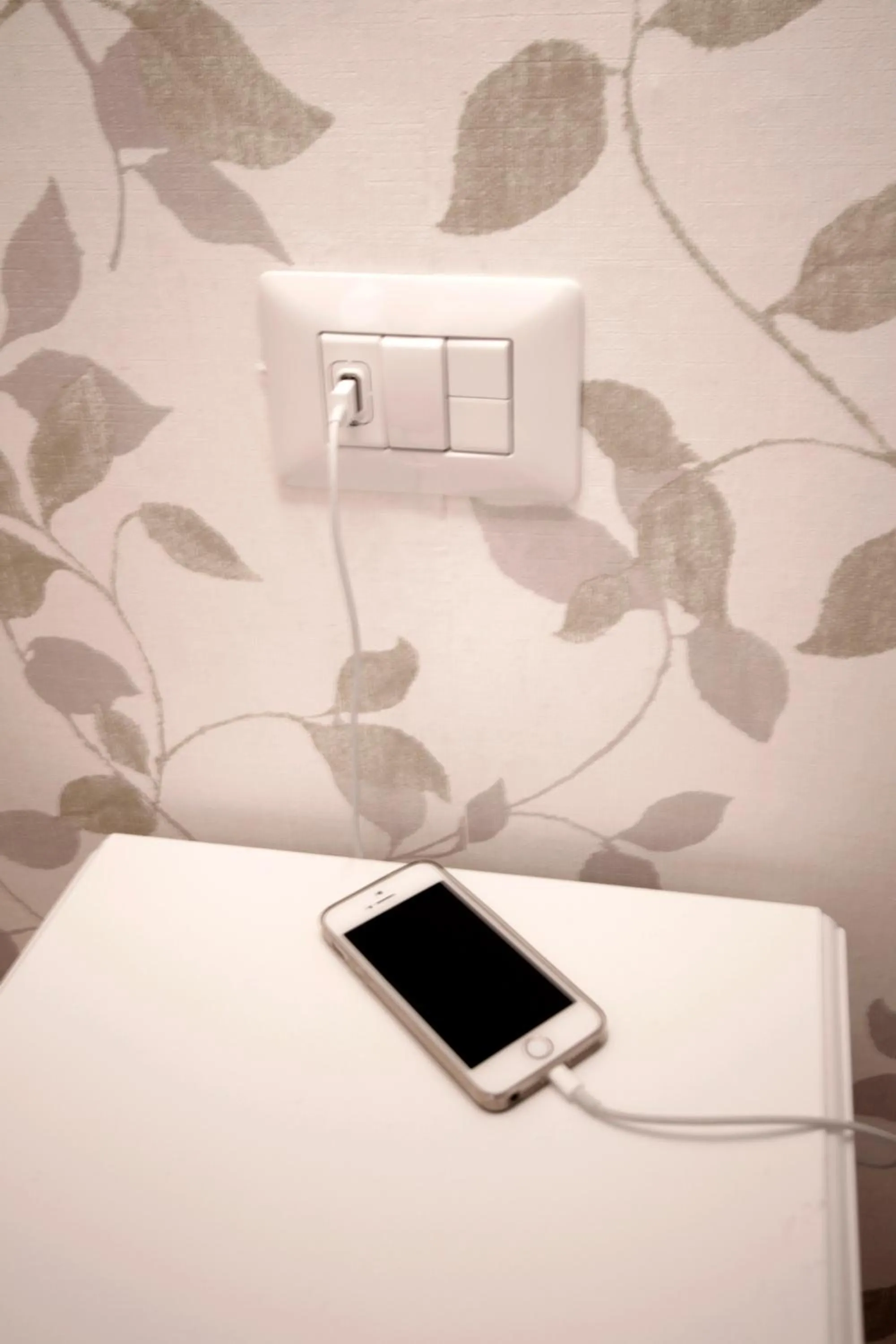 Decorative detail in Domus Iuliae