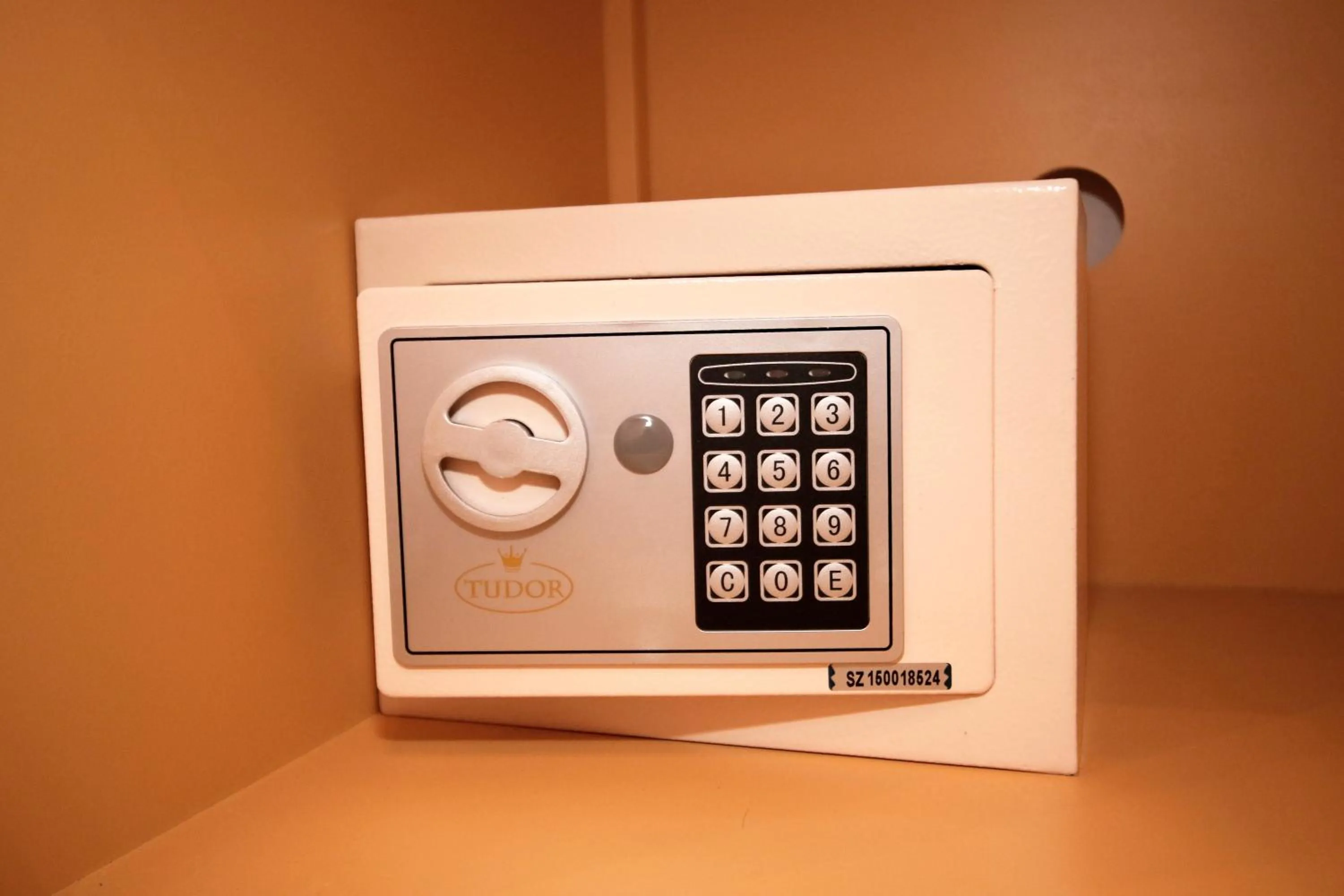 Other in Domus Iuliae