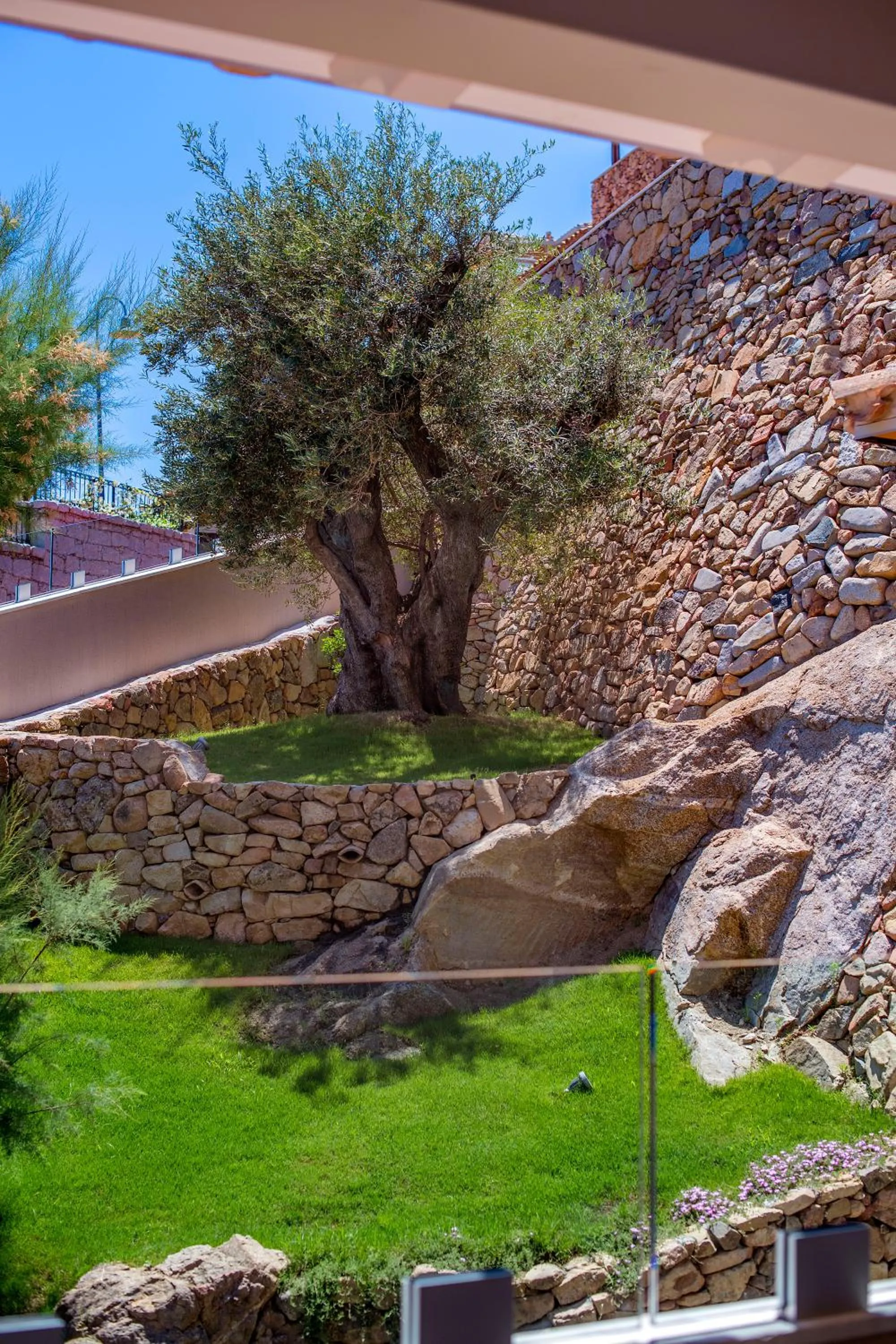 Garden view in Domu Simius Life Style Hotel