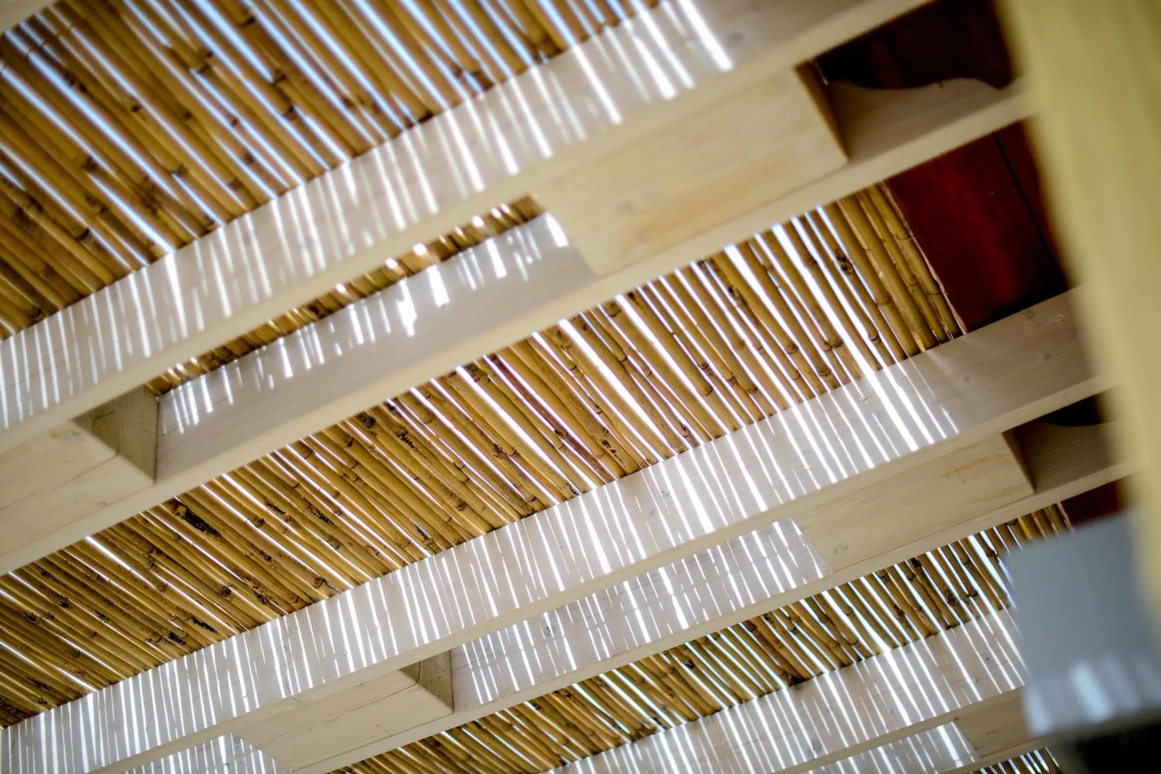 Other in Domu Simius Life Style Hotel