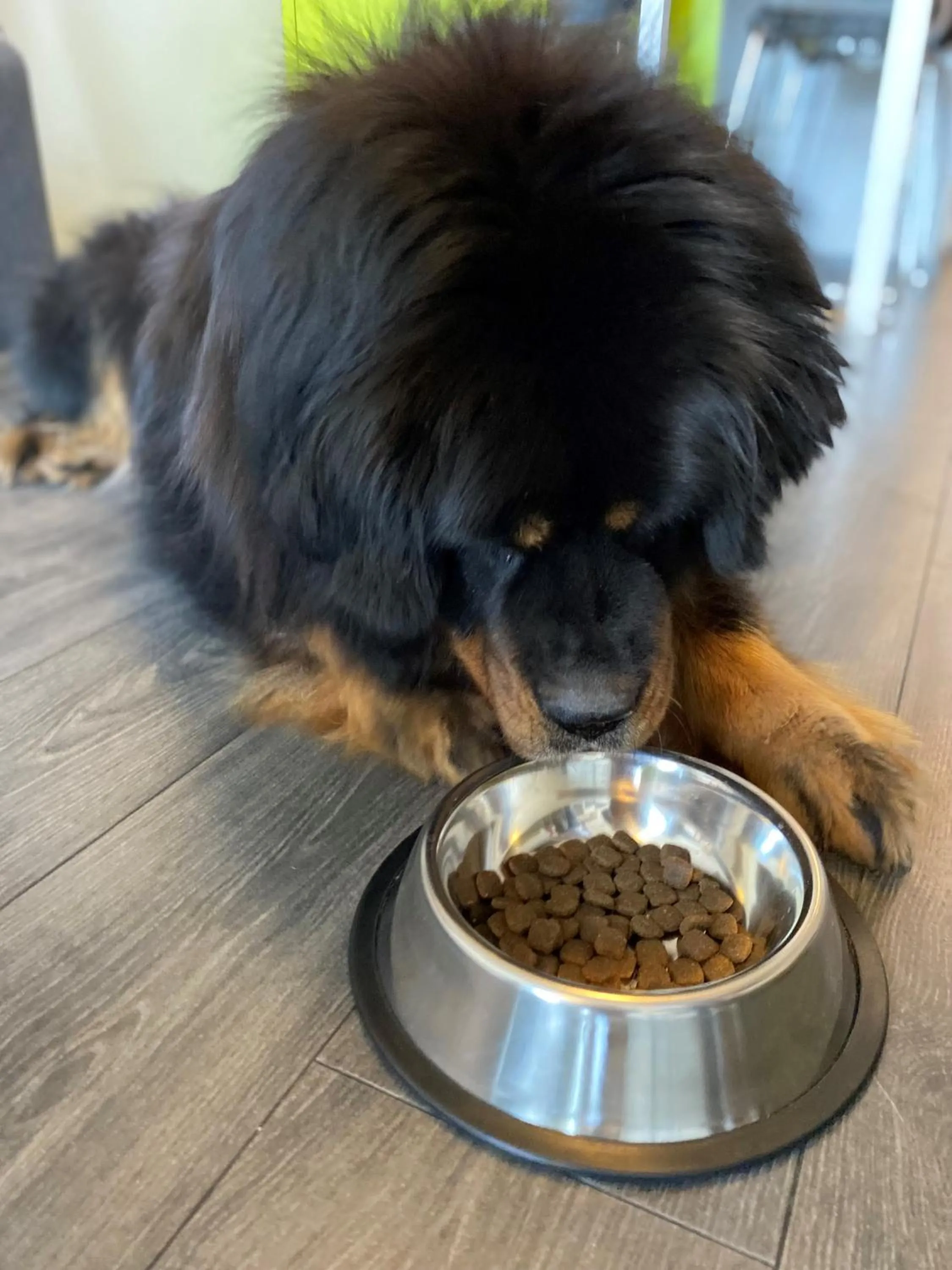 Food and drinks in Go Hotel Shnelli