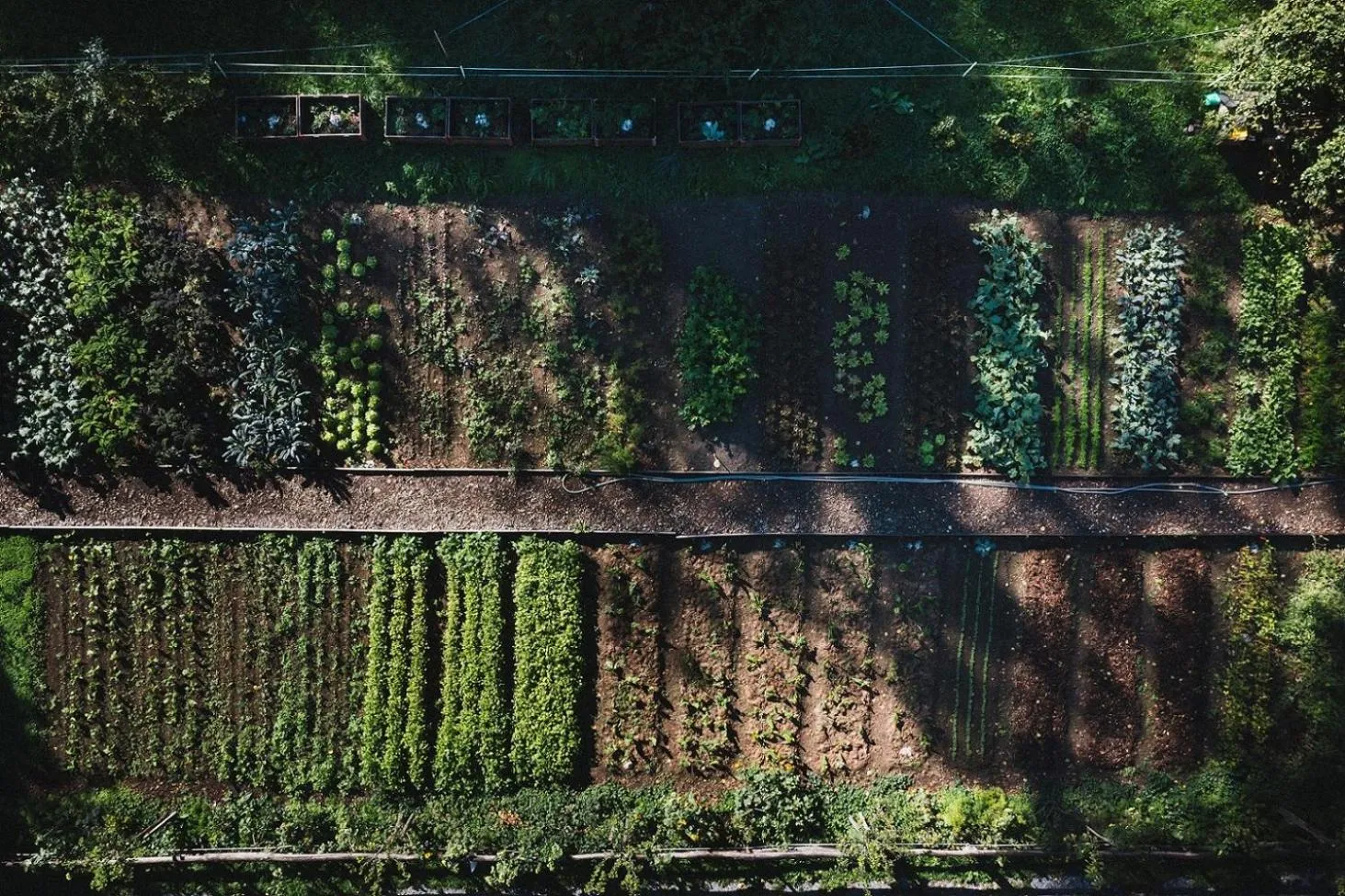 Spring in Grandhotel Giessbach