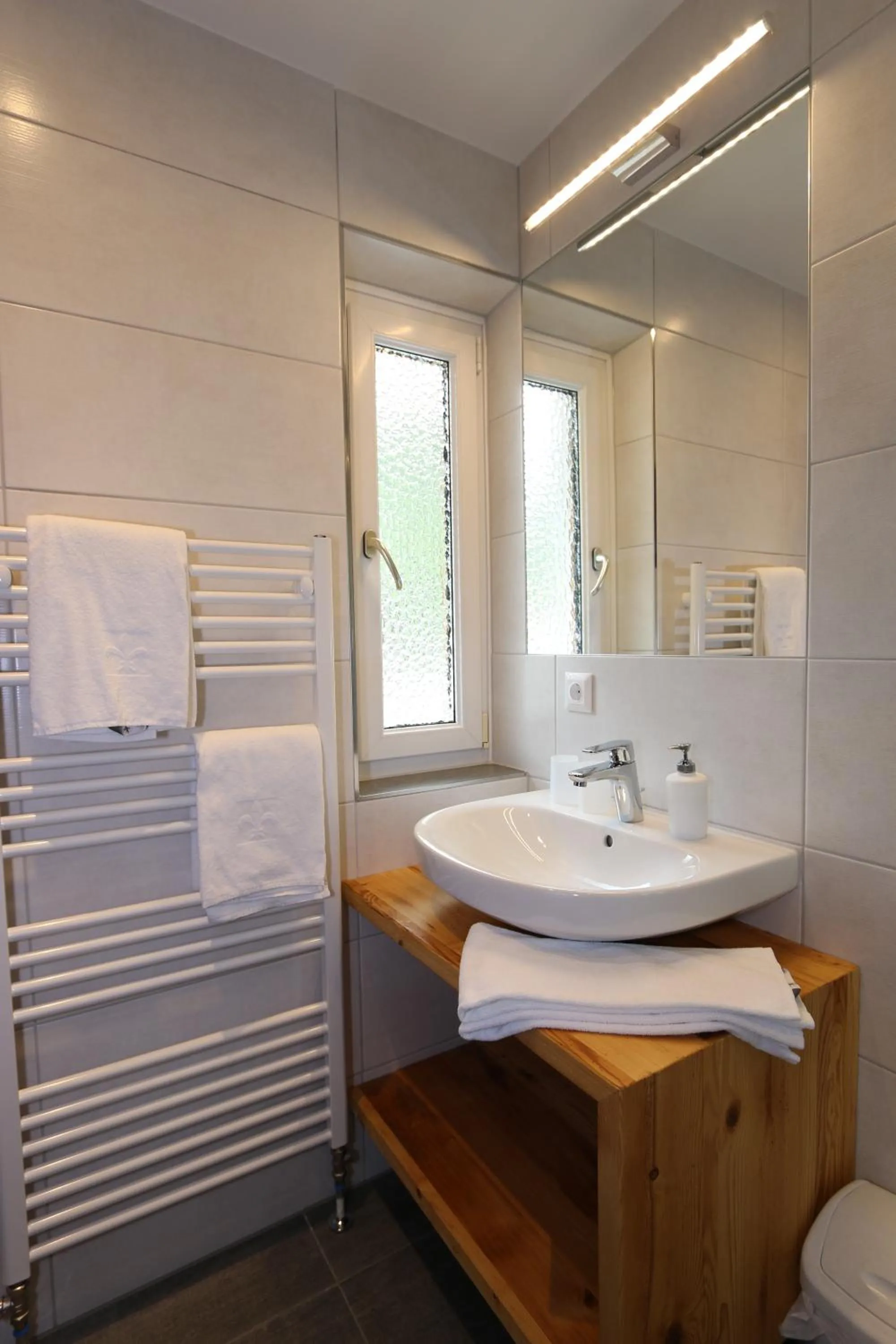 Shower in Hotel Kollerhof