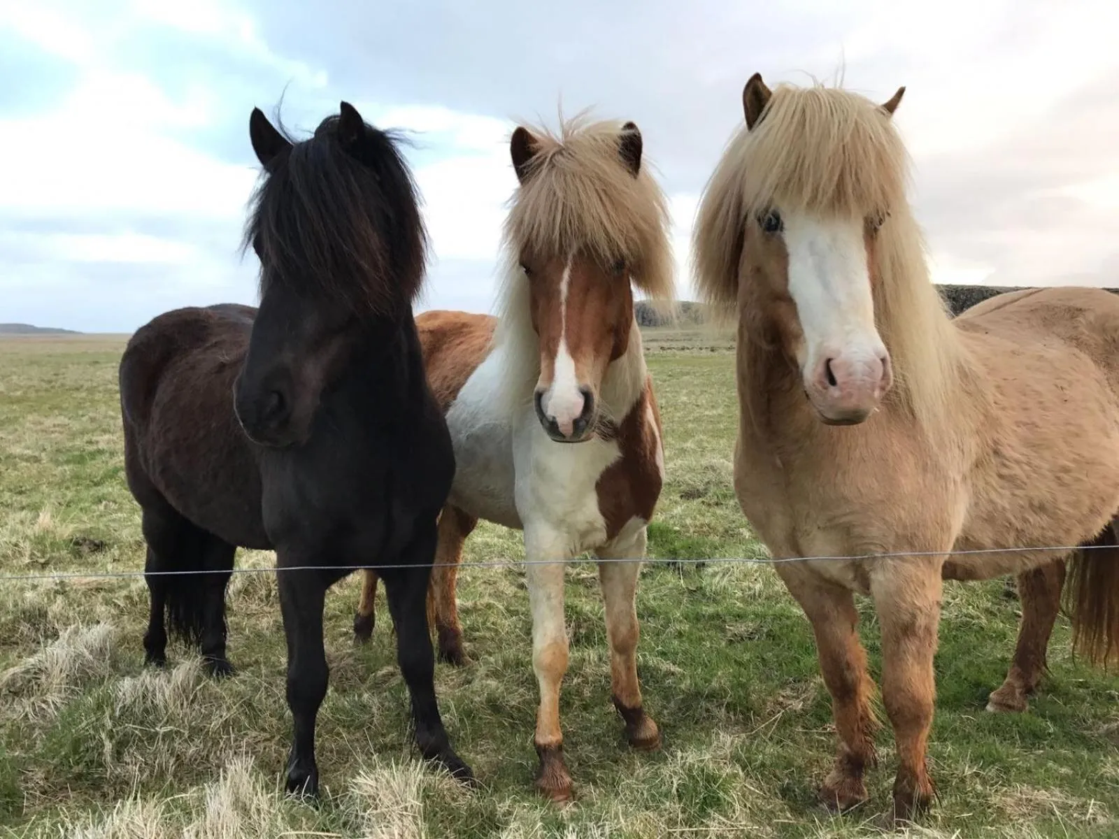 Natural landscape in Vagnsstadir Guesthouse