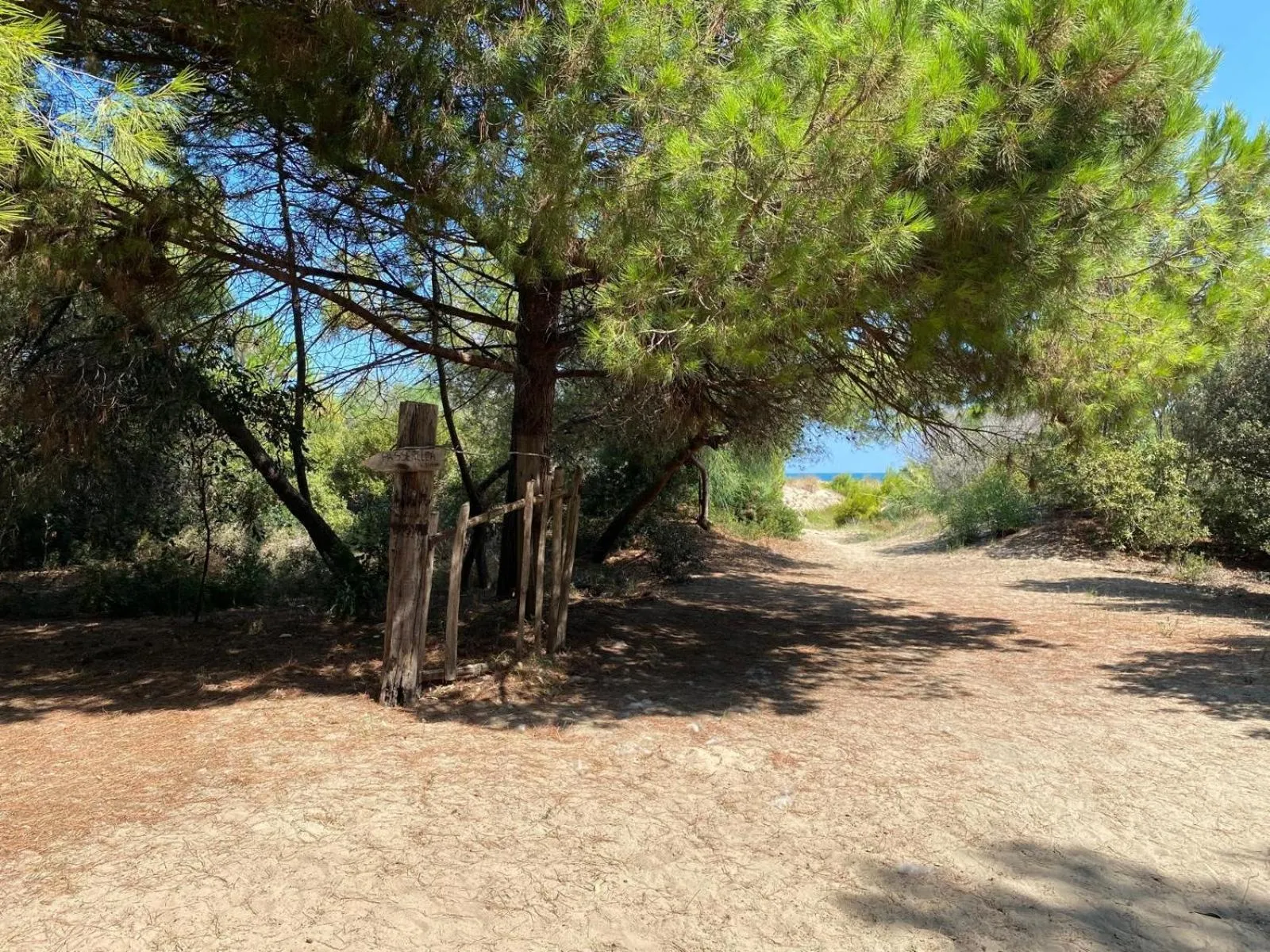 B&B La Palma