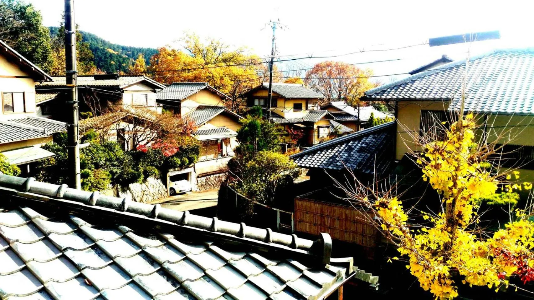 Street view in Kinkaku