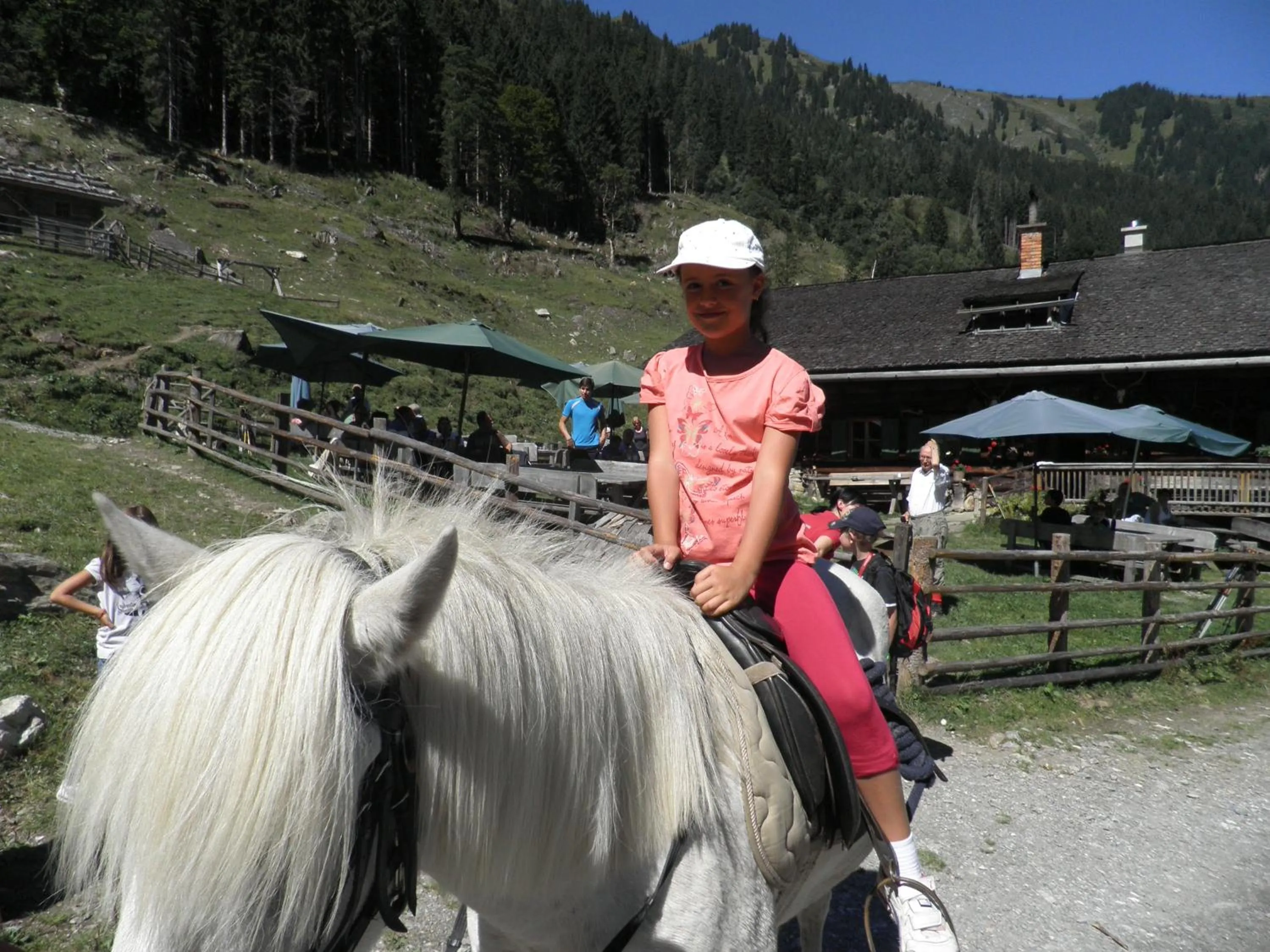 Area and facilities in Hotel Roslehen