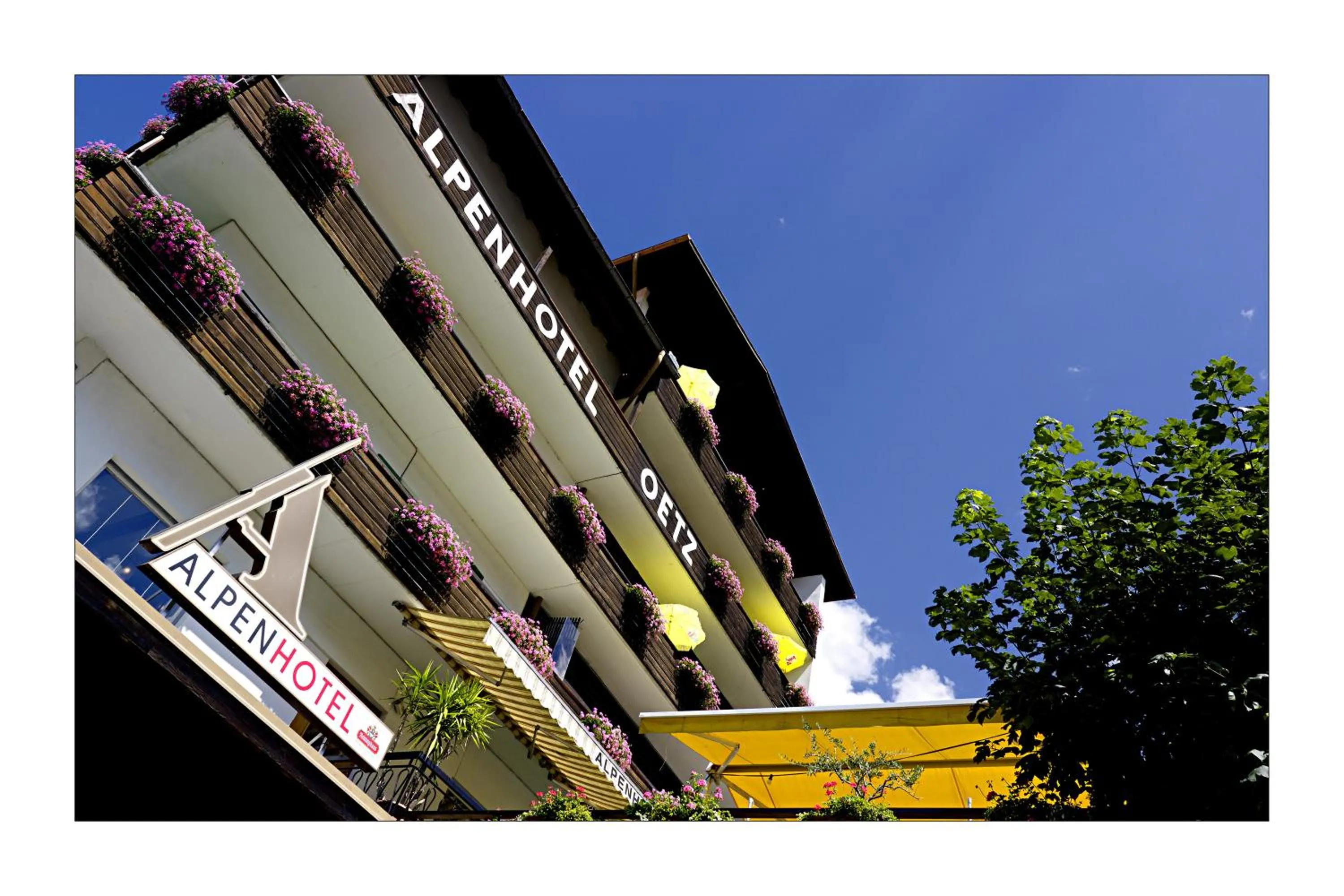 Property Building in Alpenhotel