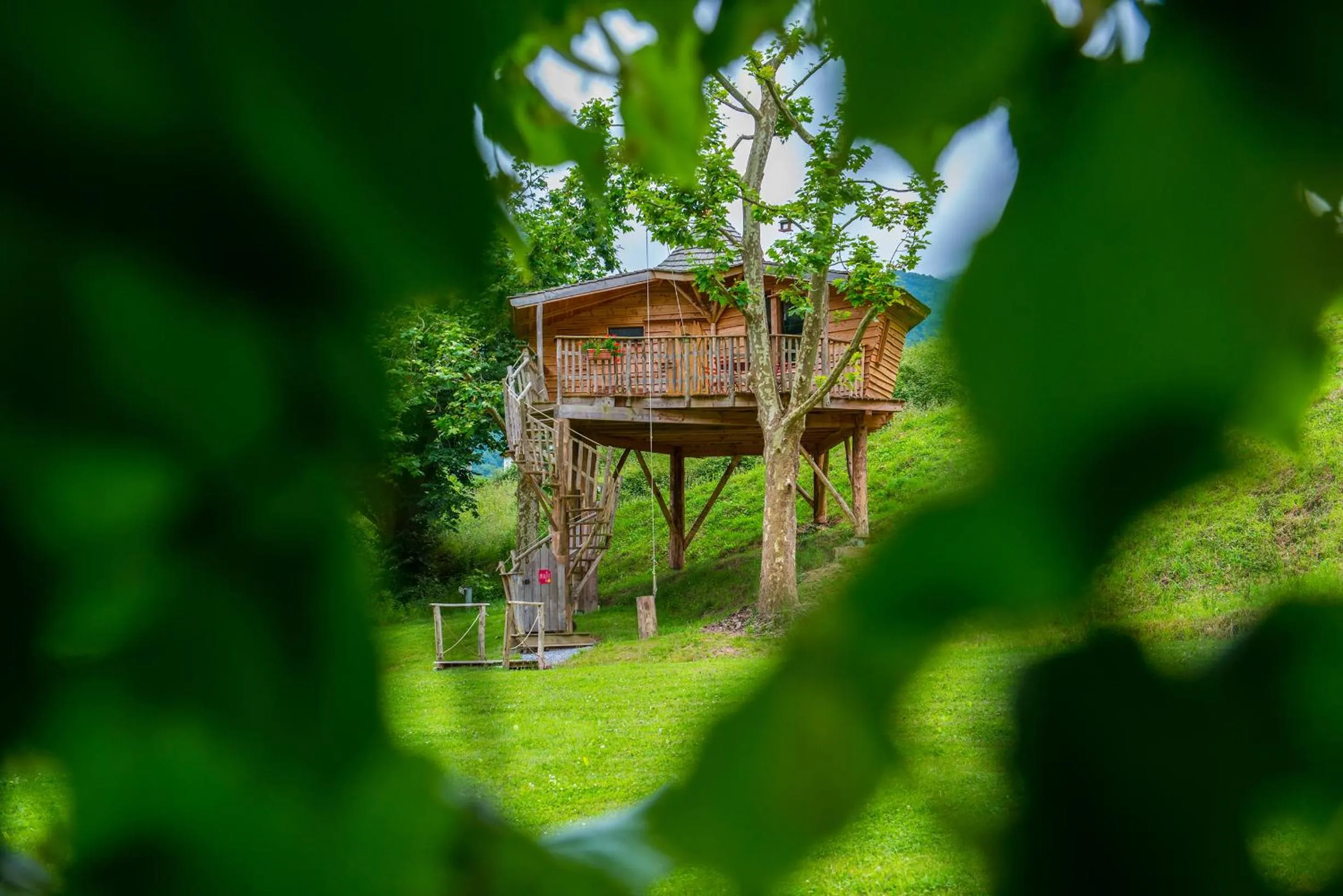 Restaurant/places to eat in Logis Hôtel Andreinia & Cabanes