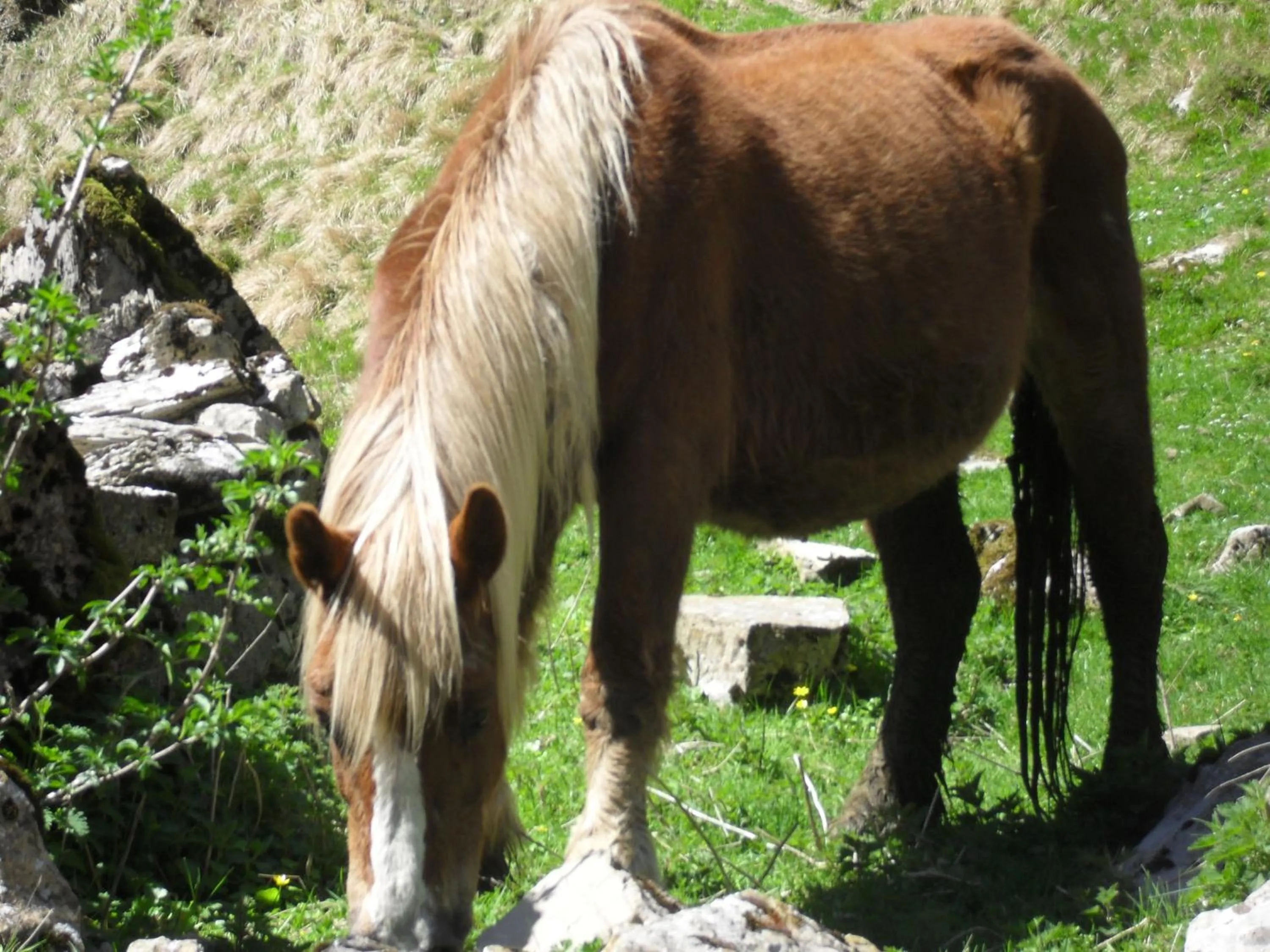 Day in Logis Hôtel Andreinia & Cabanes