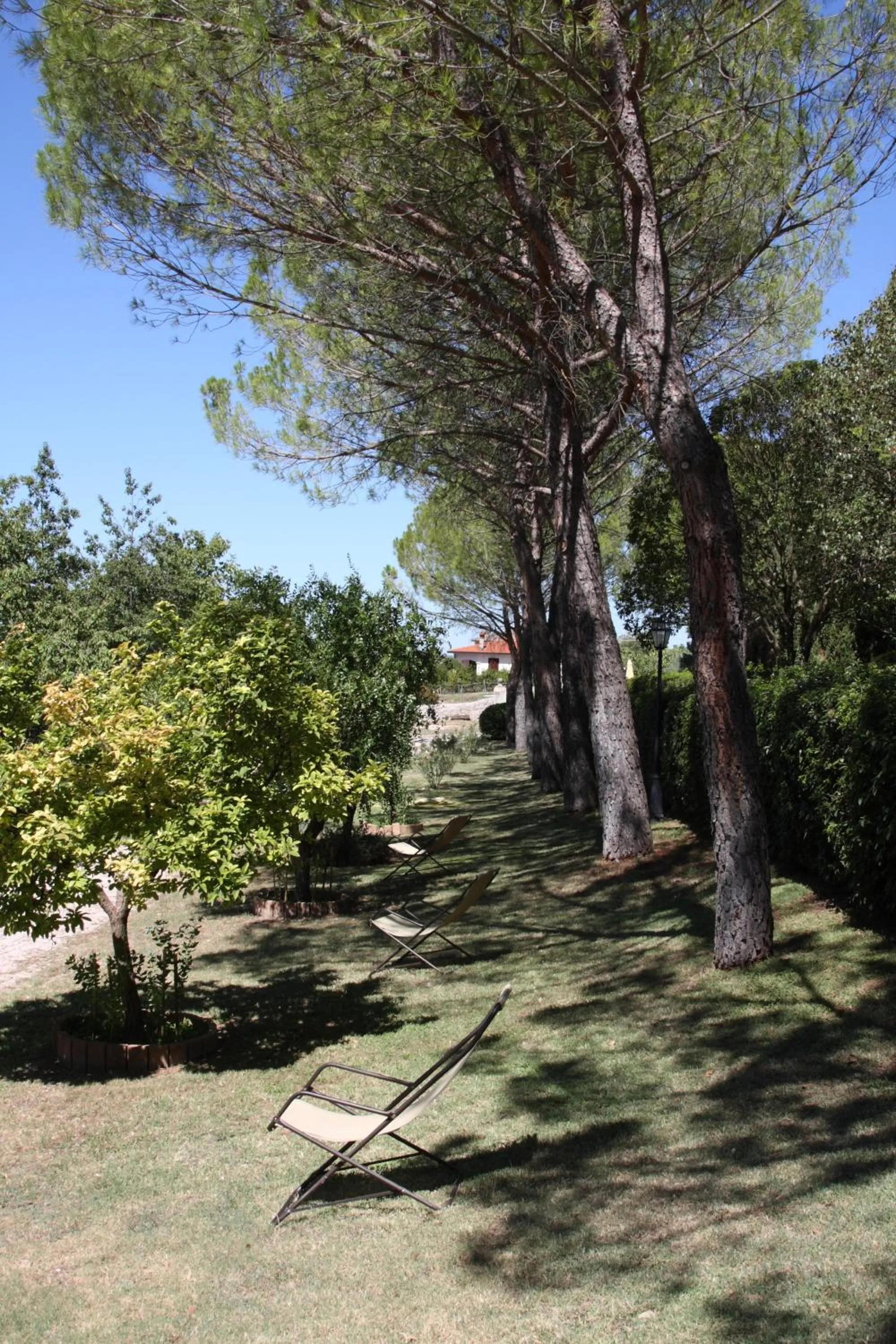 Property building in Villa del Cardinale