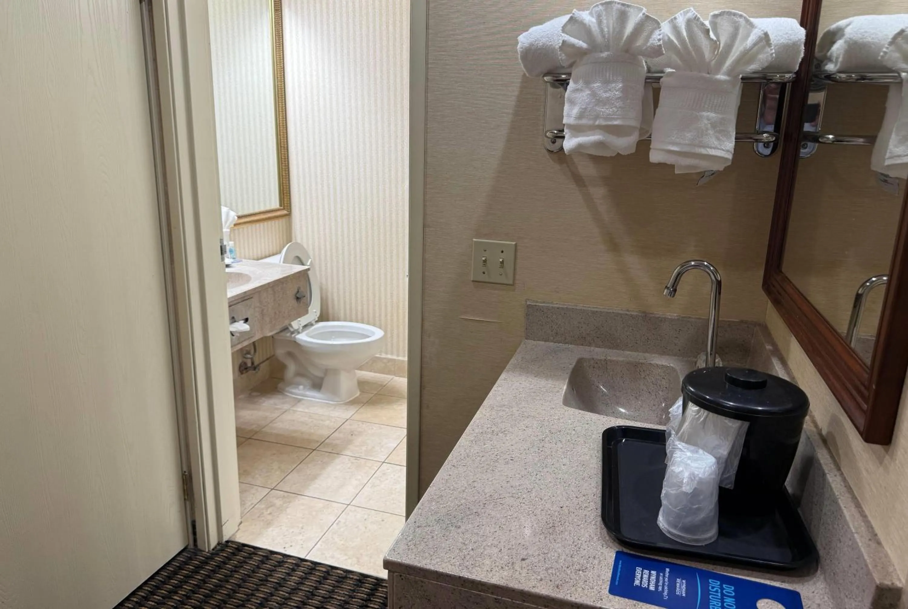 Bathroom in Wingate by Wyndham Livonia