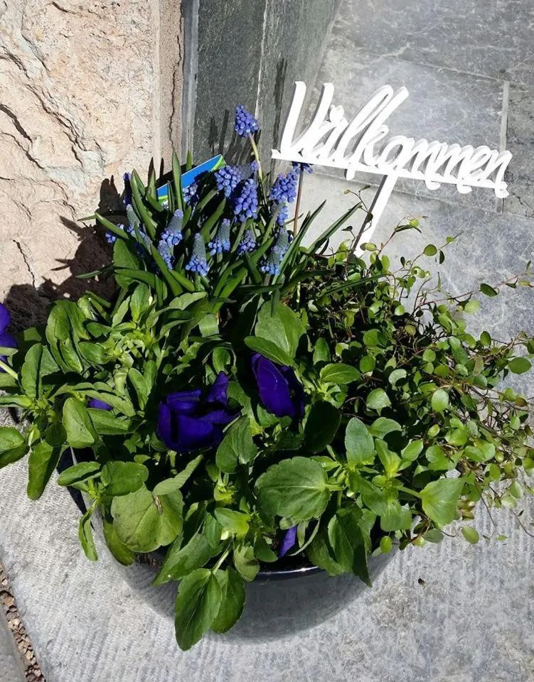 Facade/entrance in Strand Hotell