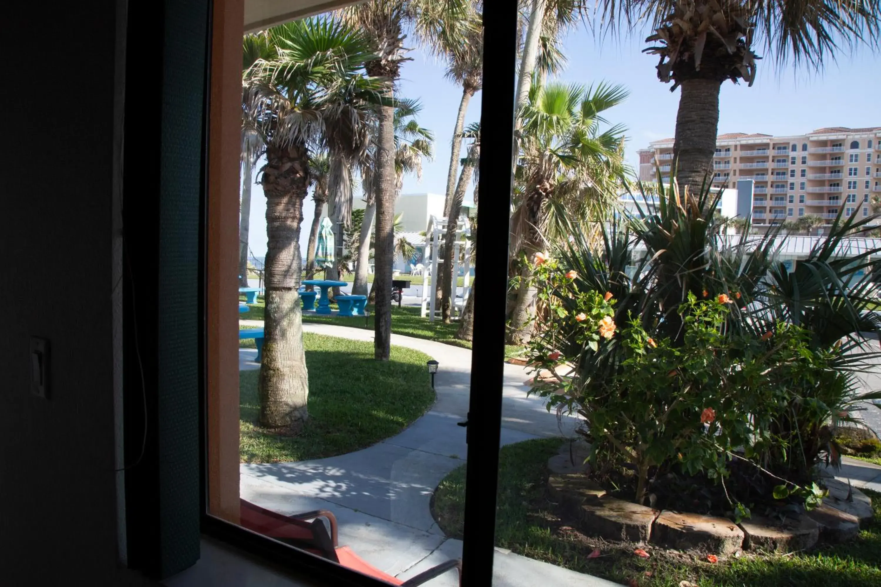 Garden view in Daytona Dream Inn By AmeriVu Garden view in Daytona Dream Inn By AmeriVu