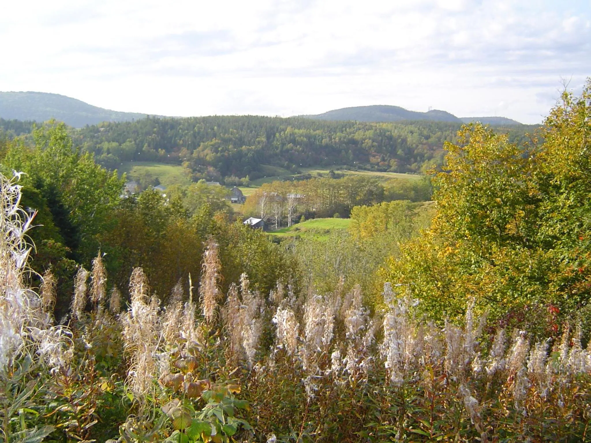 Natural landscape in Les Appartements de La Bergeronnette