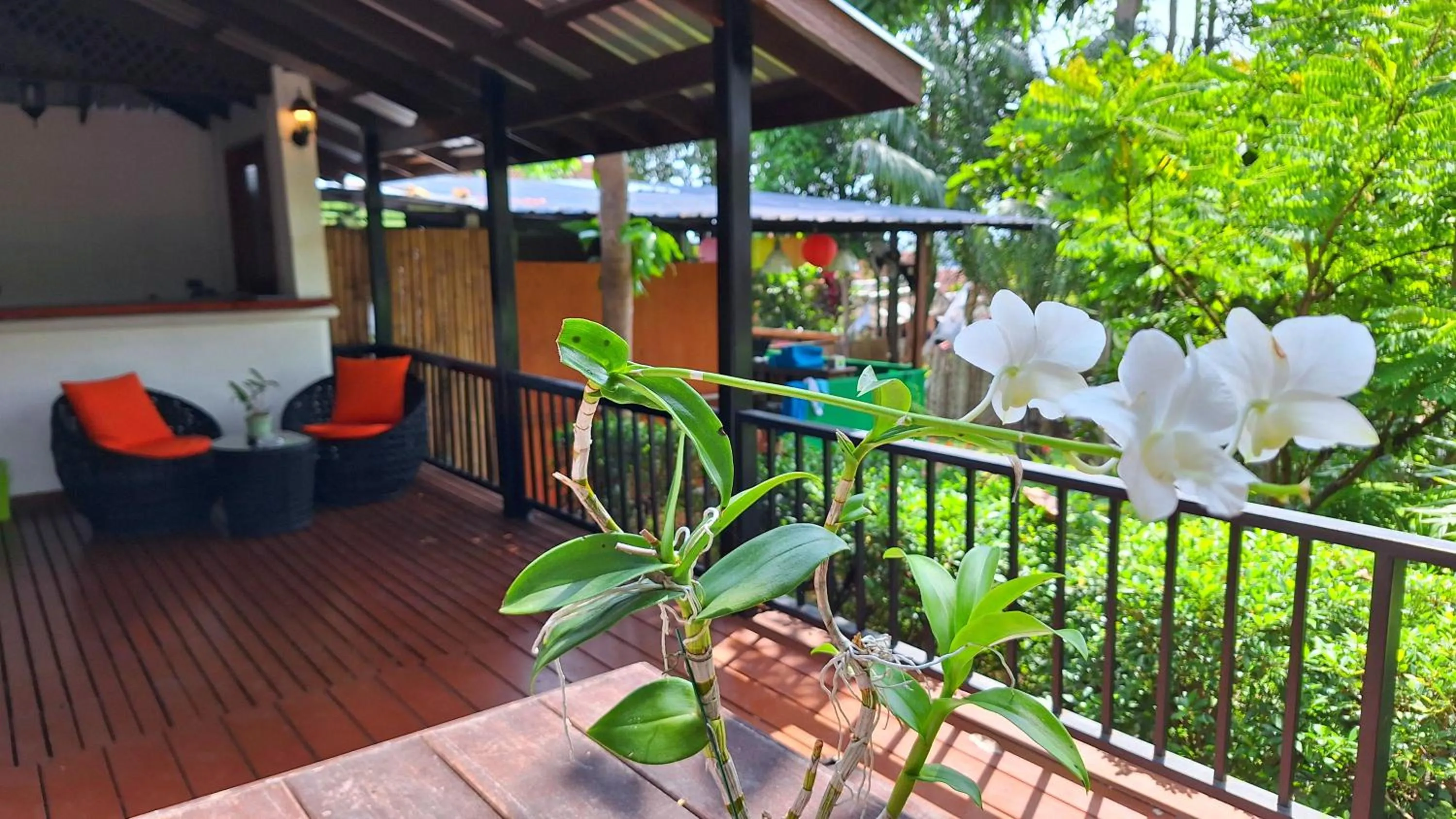 Balcony/Terrace in Alpha Gay Resort & Spa - Men Only