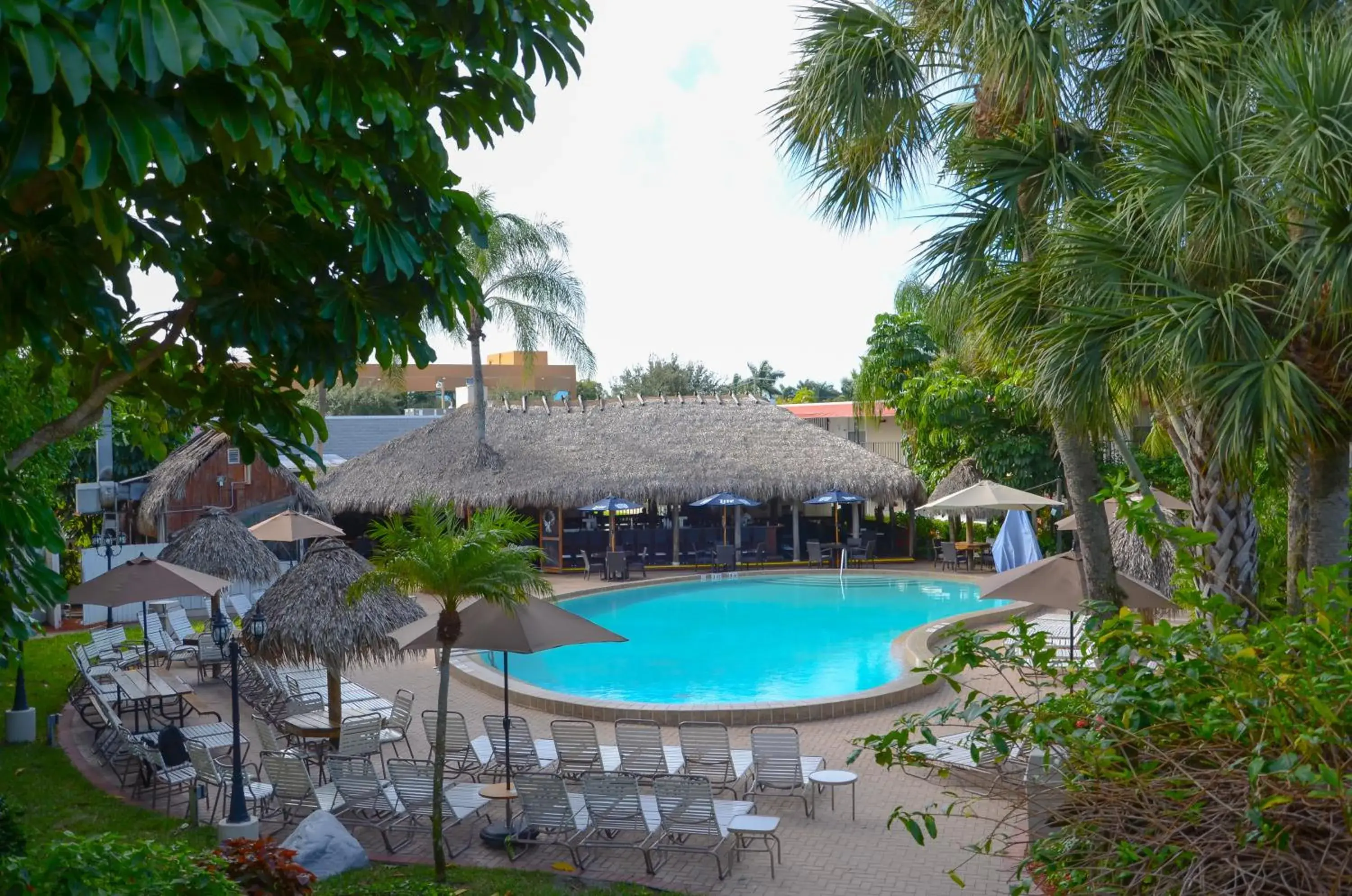 Pool view in Gulfcoast Inn Naples Pool view in Gulfcoast Inn Naples