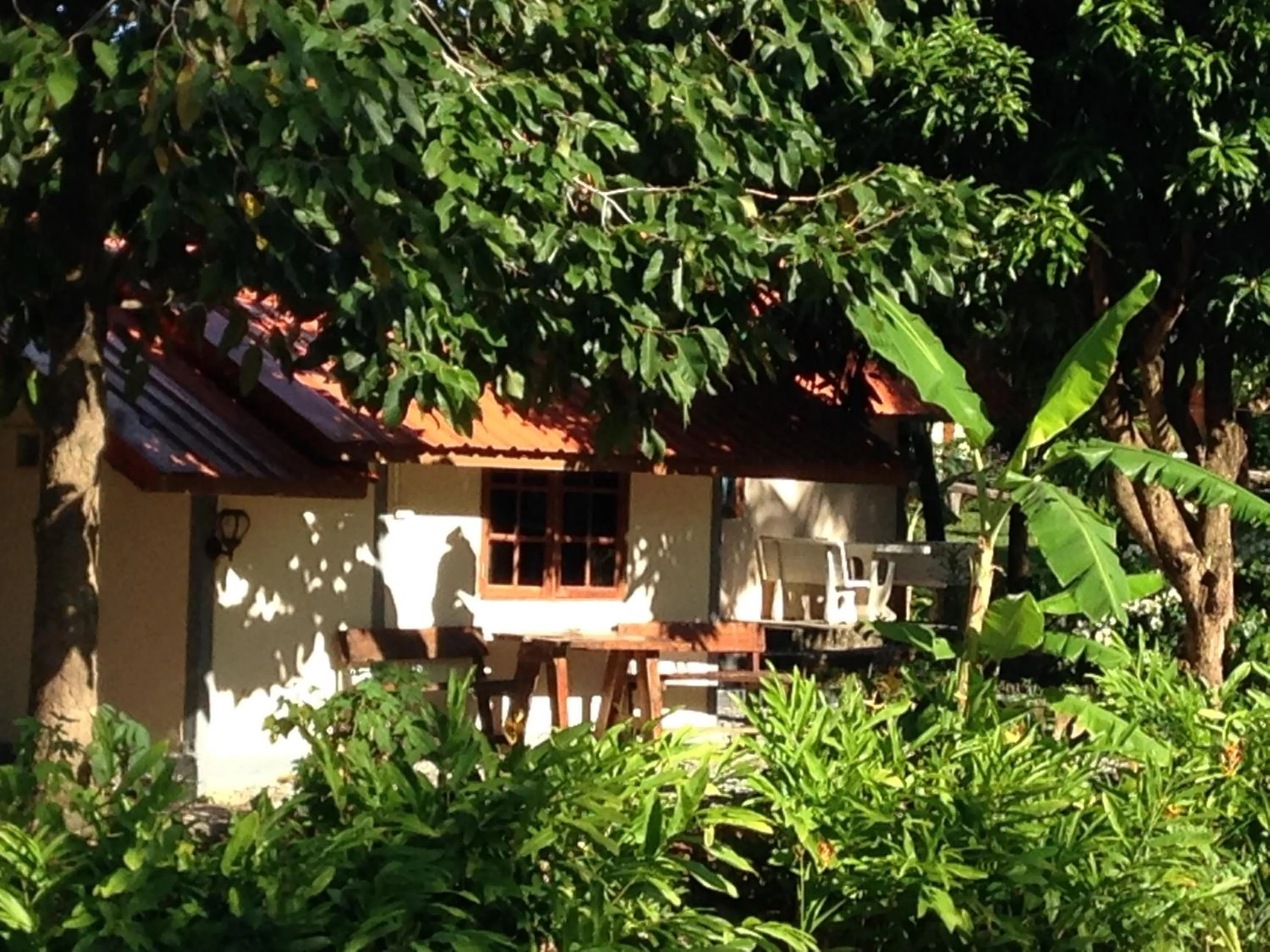 Garden view in Areeya Resort