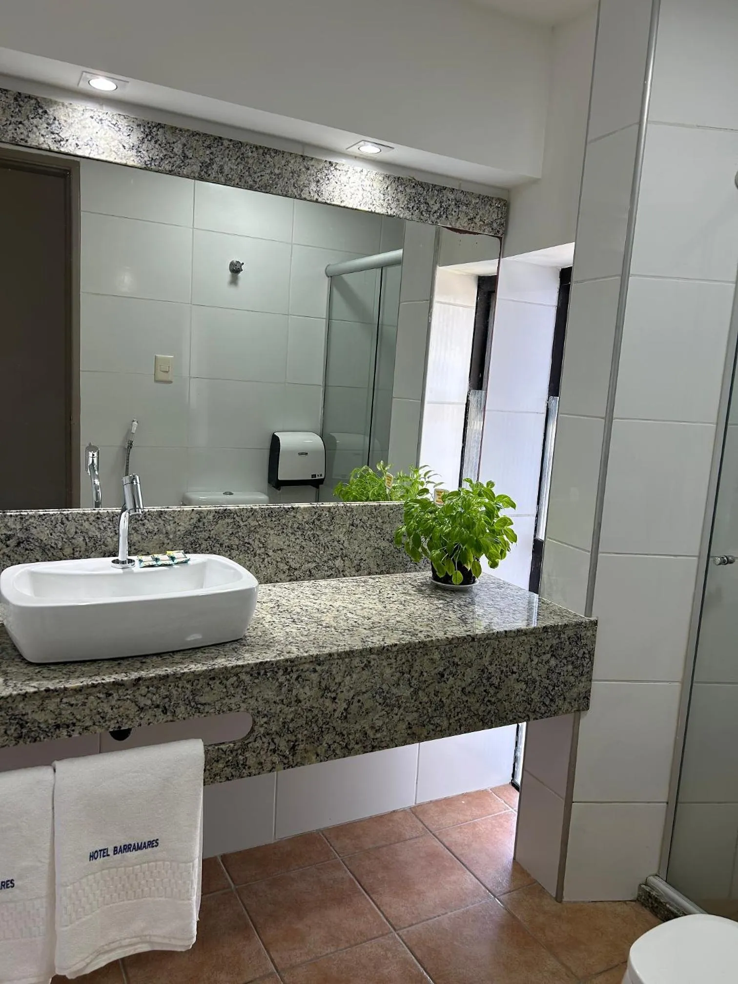 Toilet in Hotel Barramares