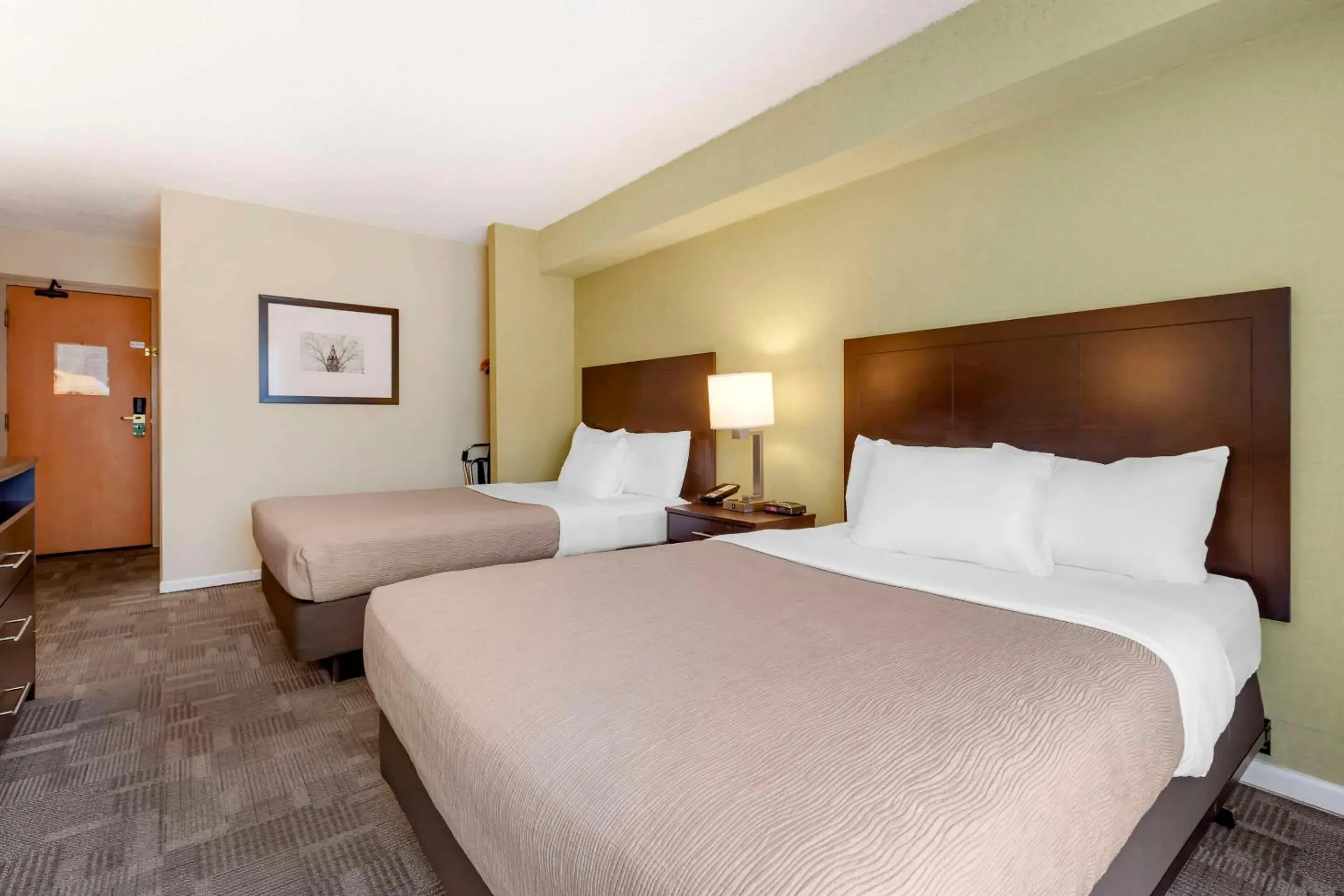 Bedroom, Bed in Quality Inn Bedroom, Bed in Quality Inn