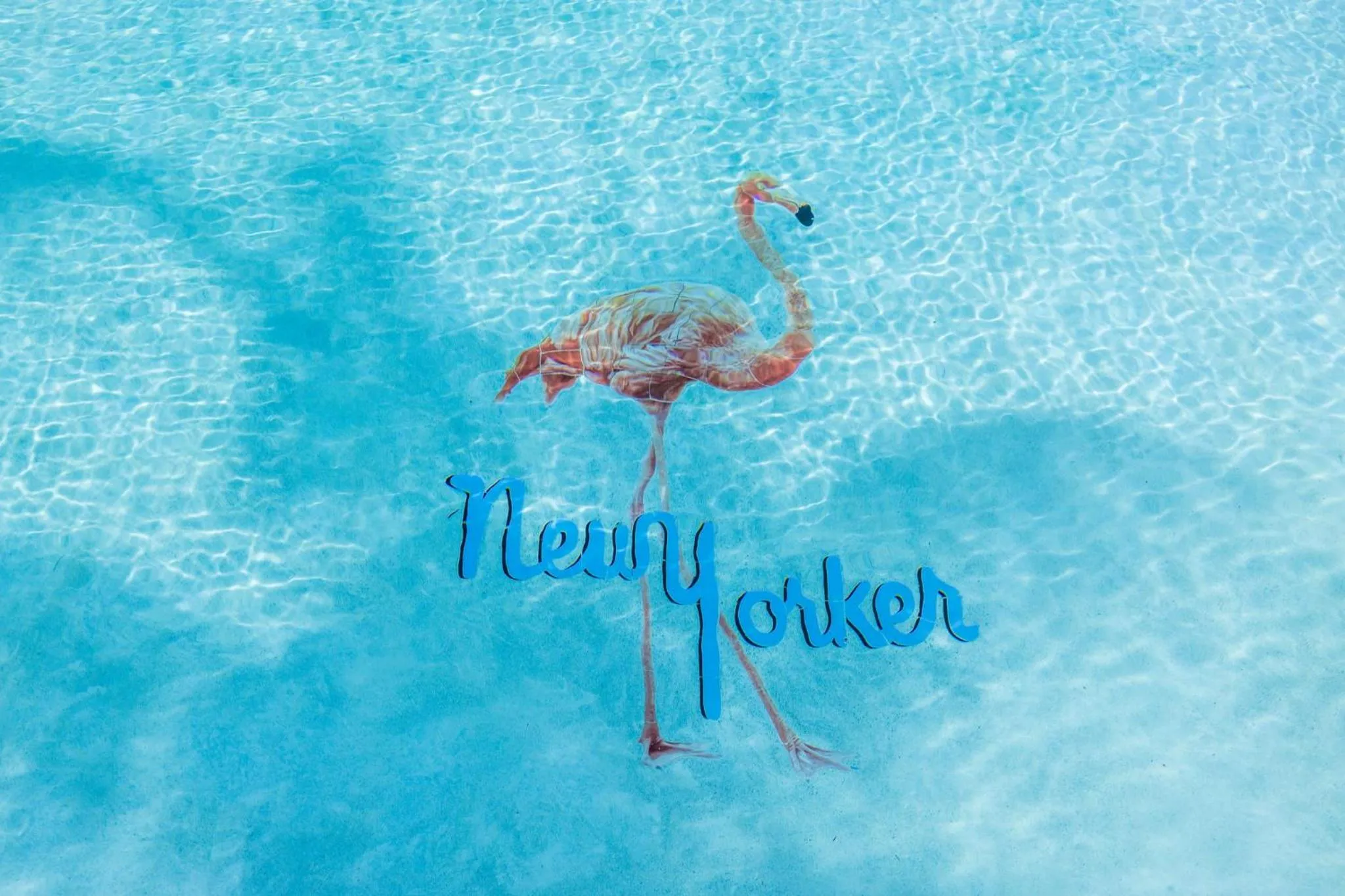 Swimming pool in The New Yorker Hotel Miami