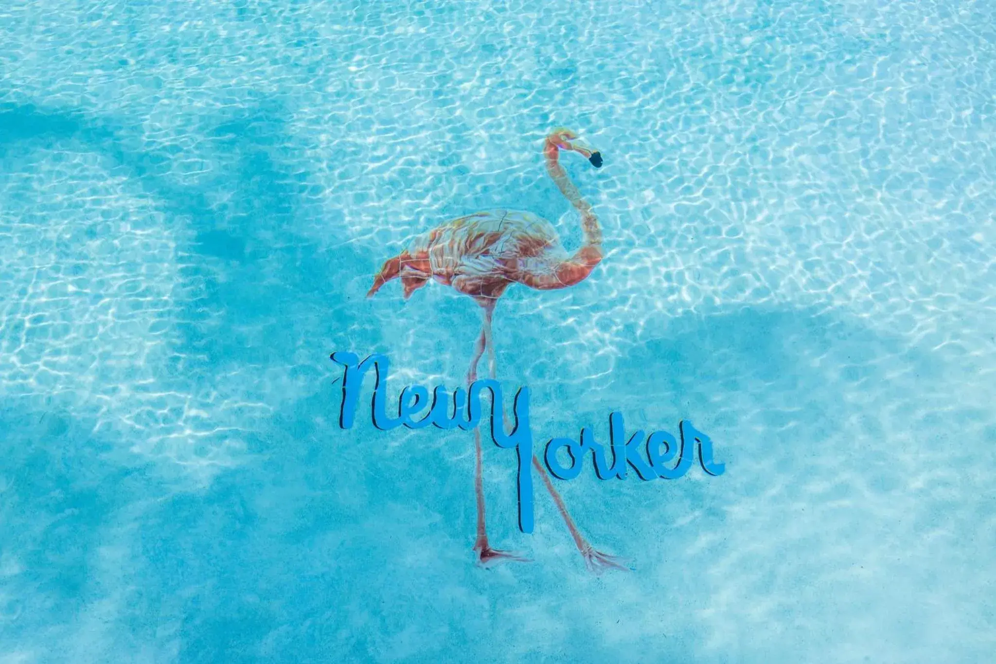 Swimming pool in The New Yorker Hotel Miami Swimming pool in The New Yorker Hotel Miami