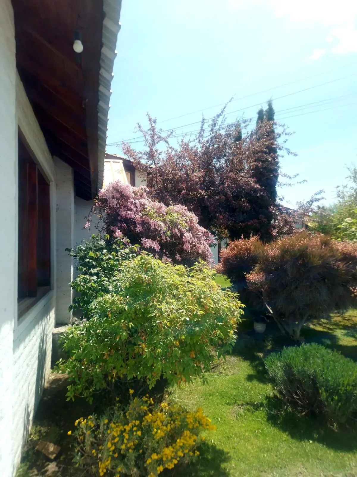 Garden view in Hotel Picos Del Sur