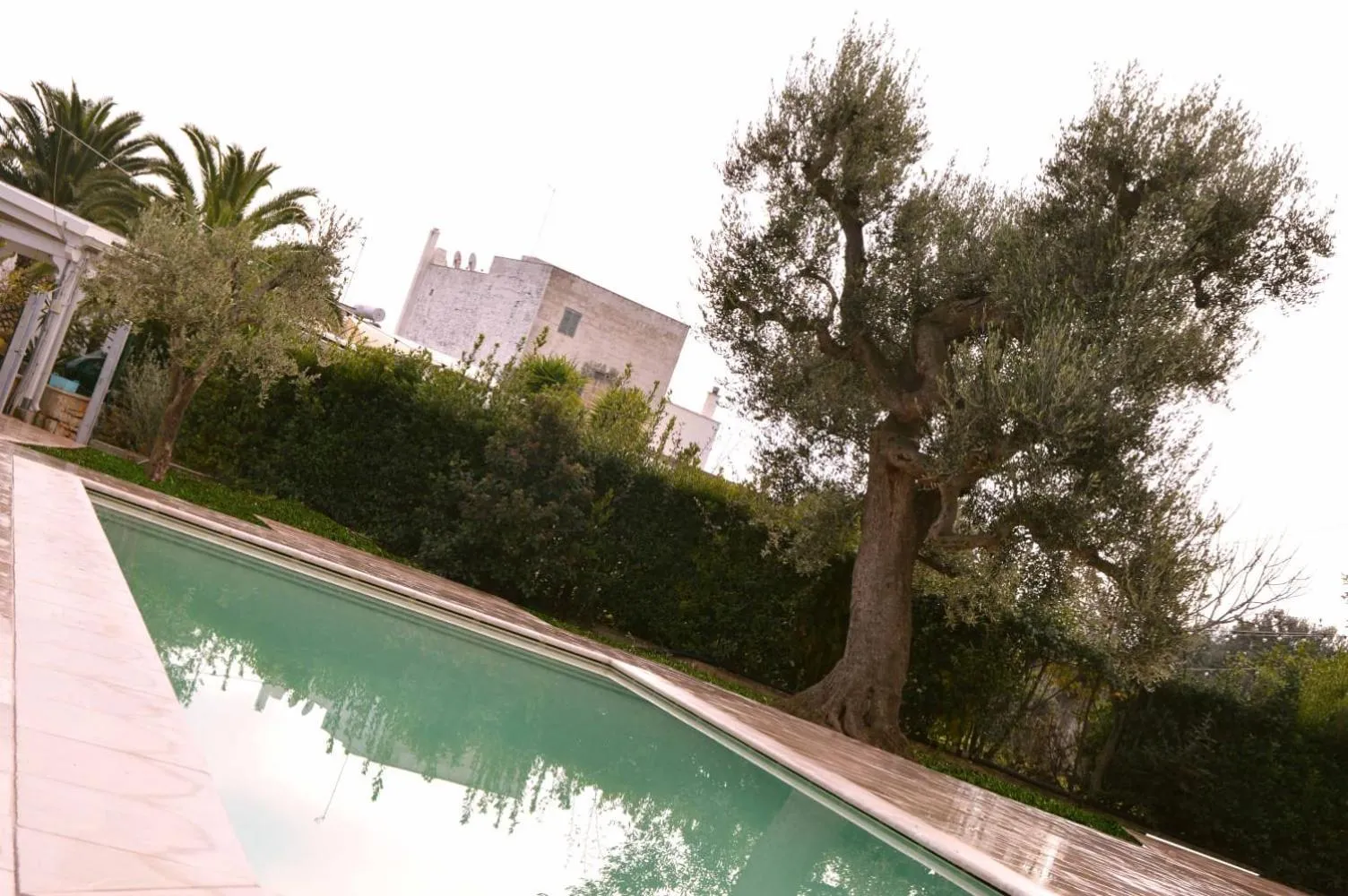 Pool view in Masseria Fragnale