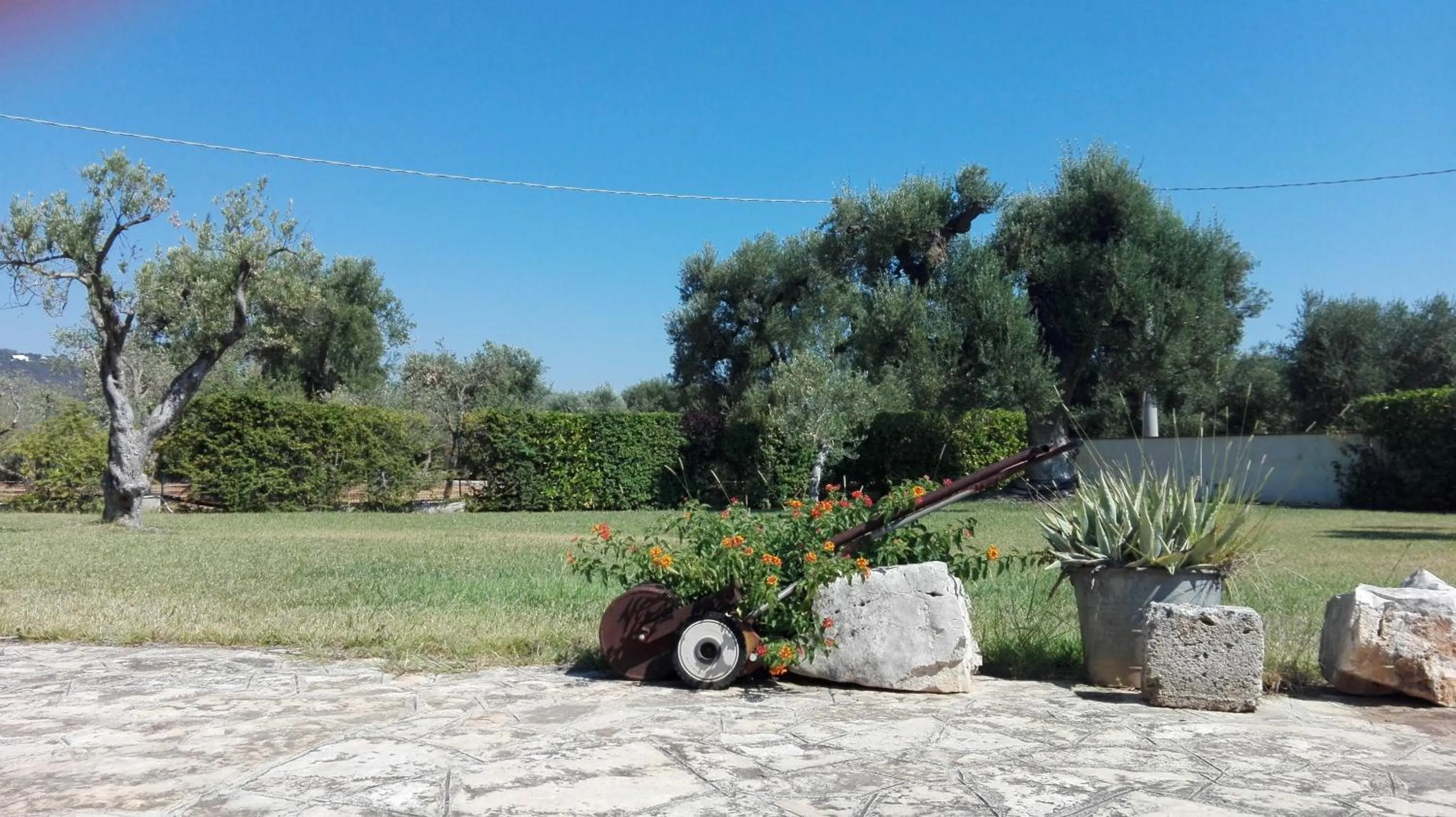 Garden view in Masseria Fragnale