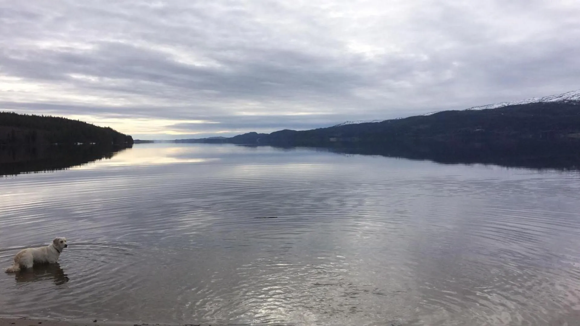 Natural landscape in Grana Bryggeri