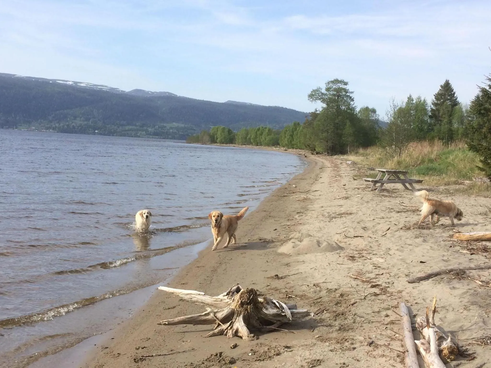 Nearby landmark in Grana Bryggeri