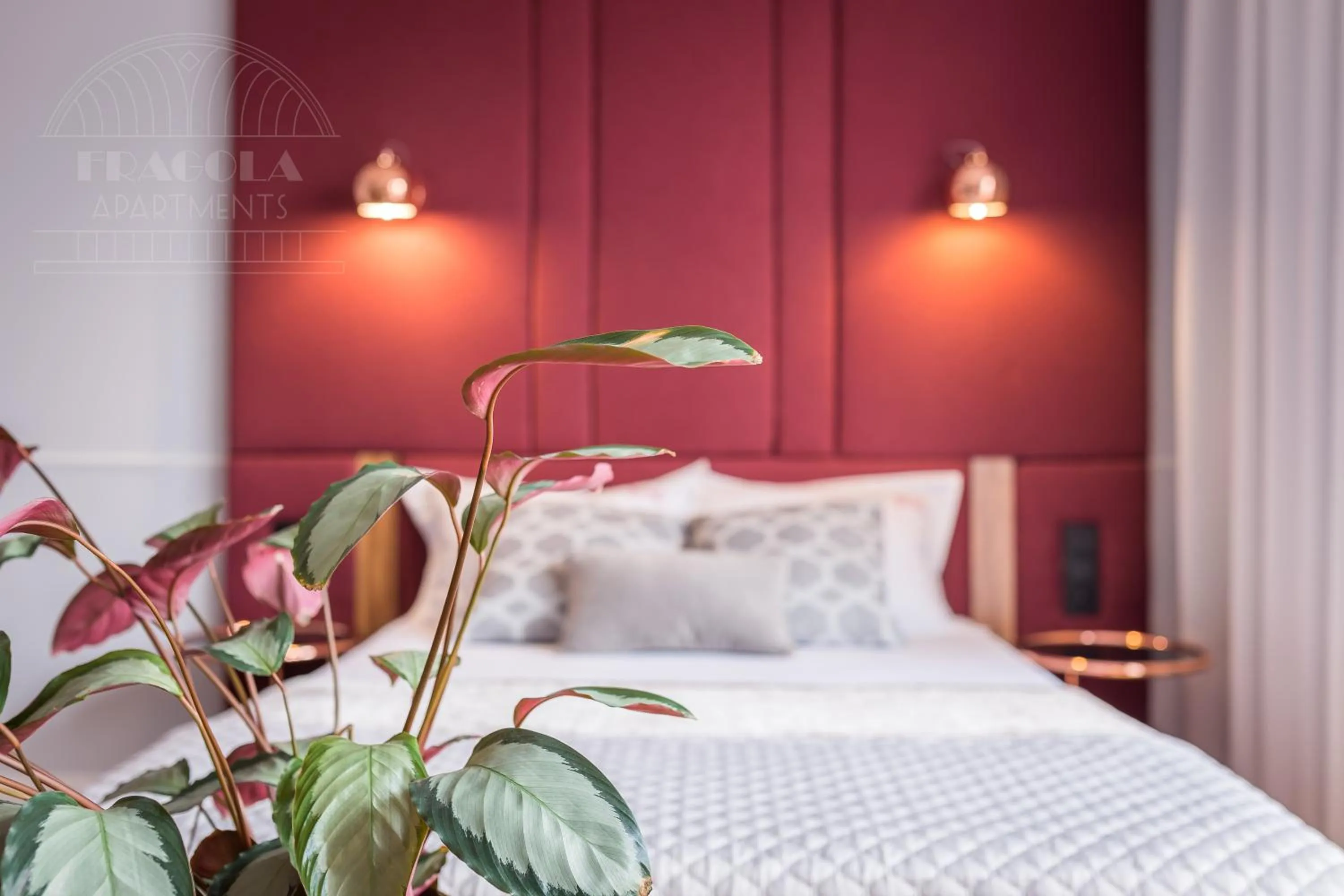 Bed in Feniks Fragola Apartments