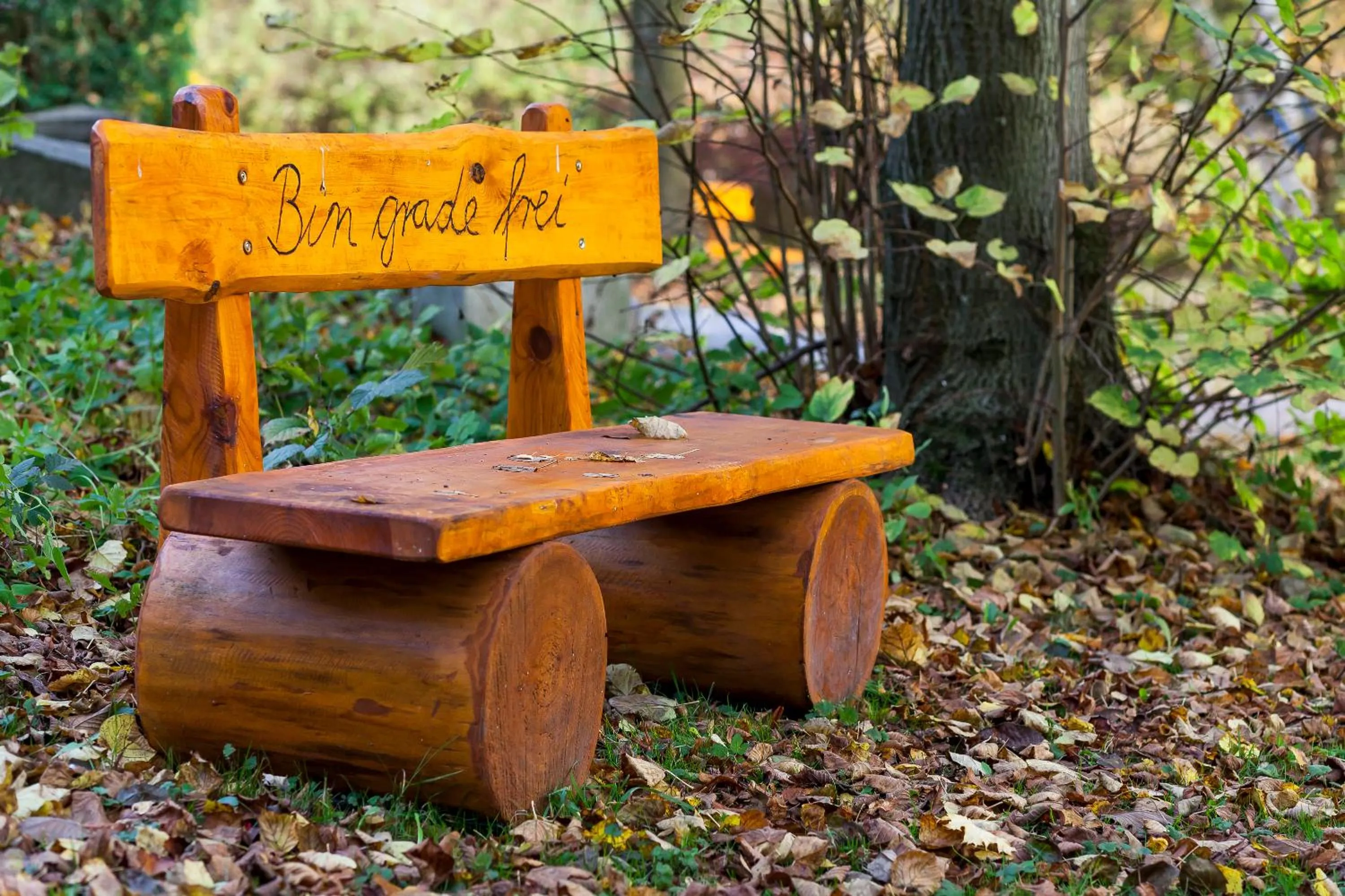 Natural landscape in Bio- und Gesundheitshotel Gutshaus Stellshagen