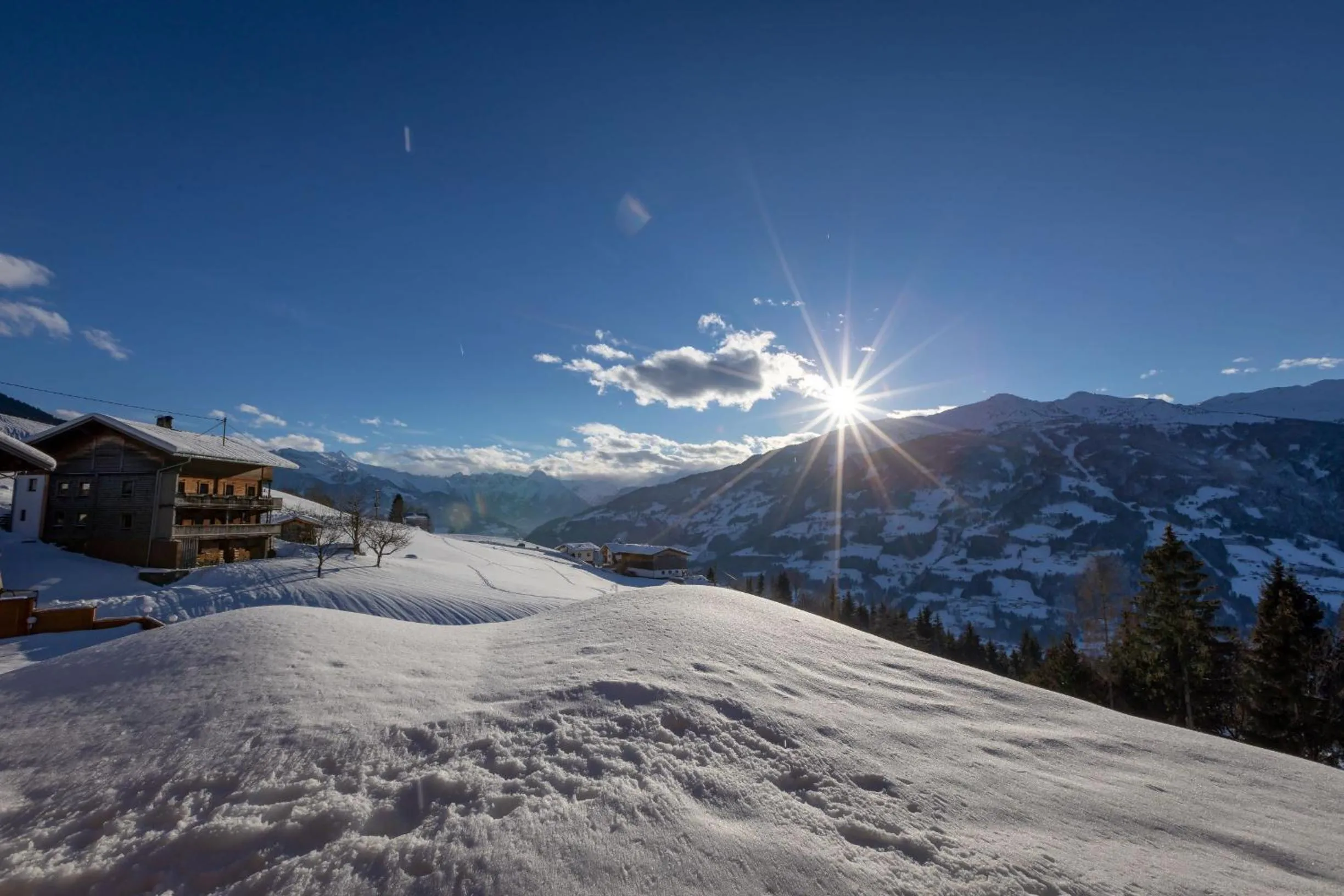 Gasthof Tannen - Alm