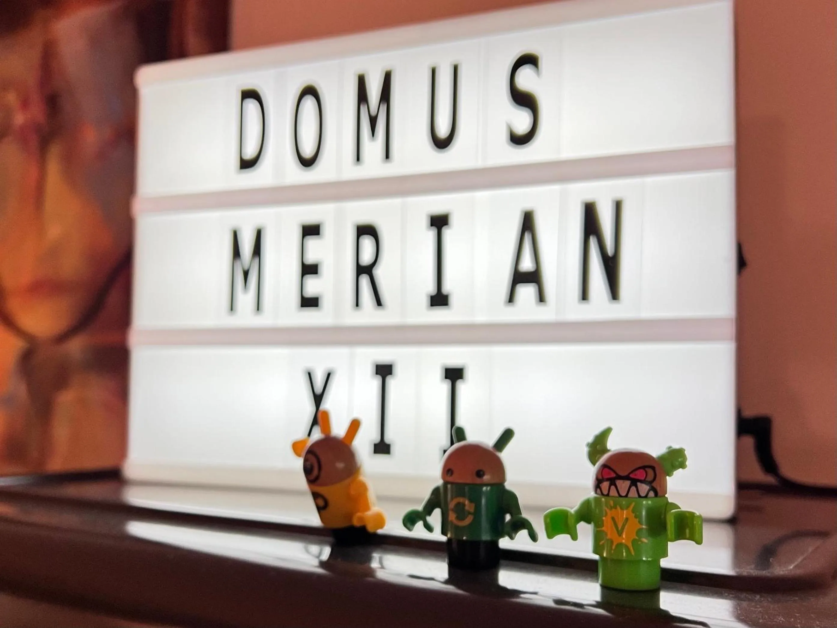 Logo/Certificate/Sign in Domus Merian XII