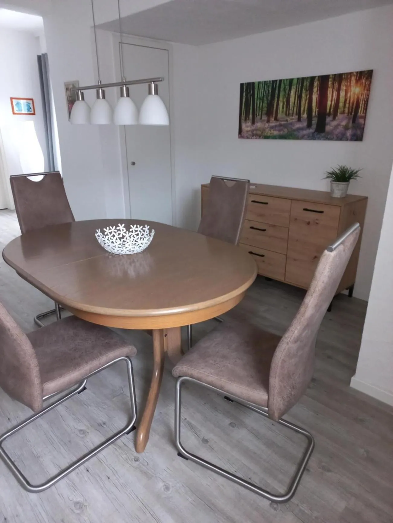 Haus Elsholz Usseln FeWo Birke