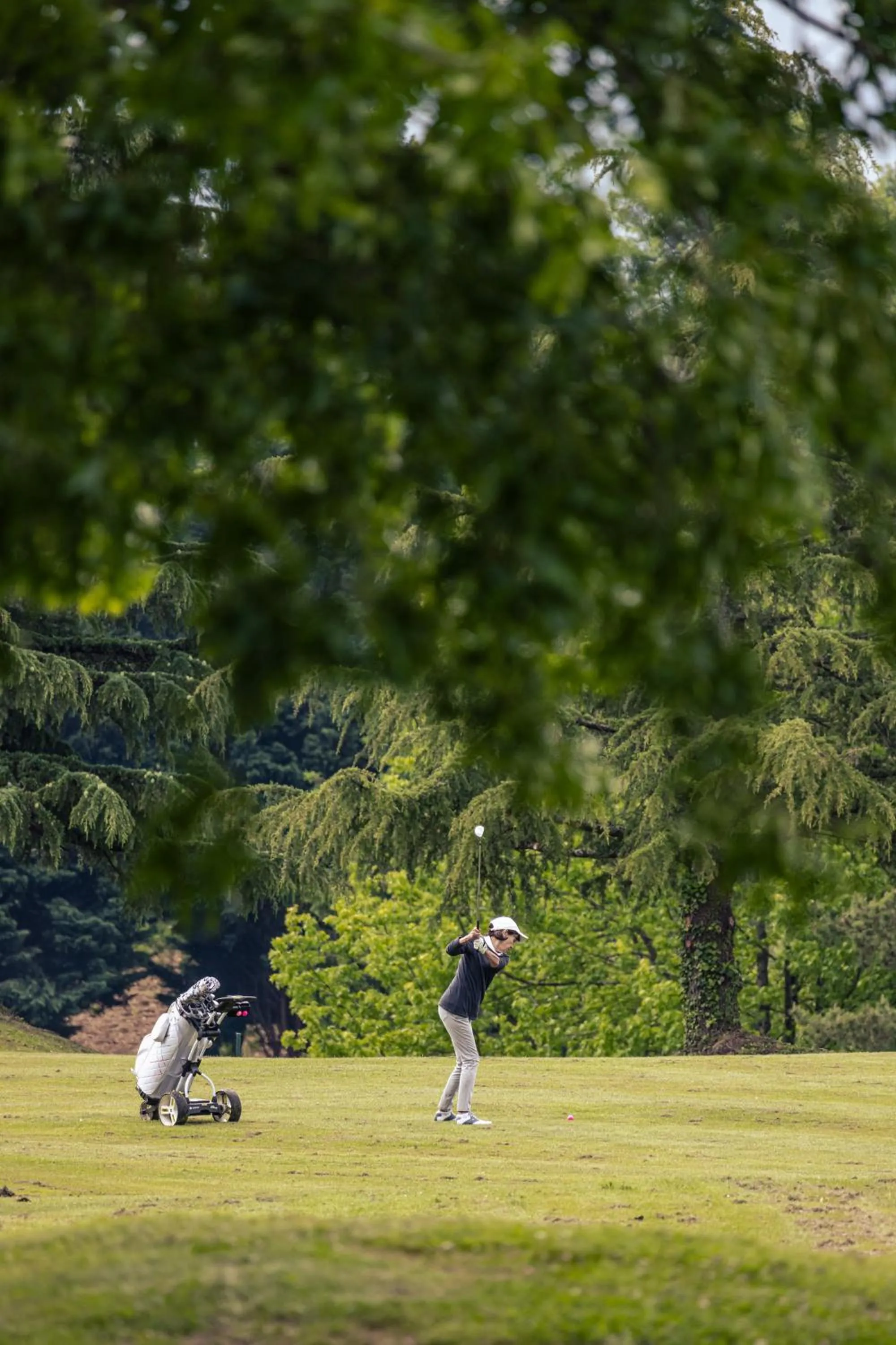 Natural landscape in Appart-Hotel Les Palombieres