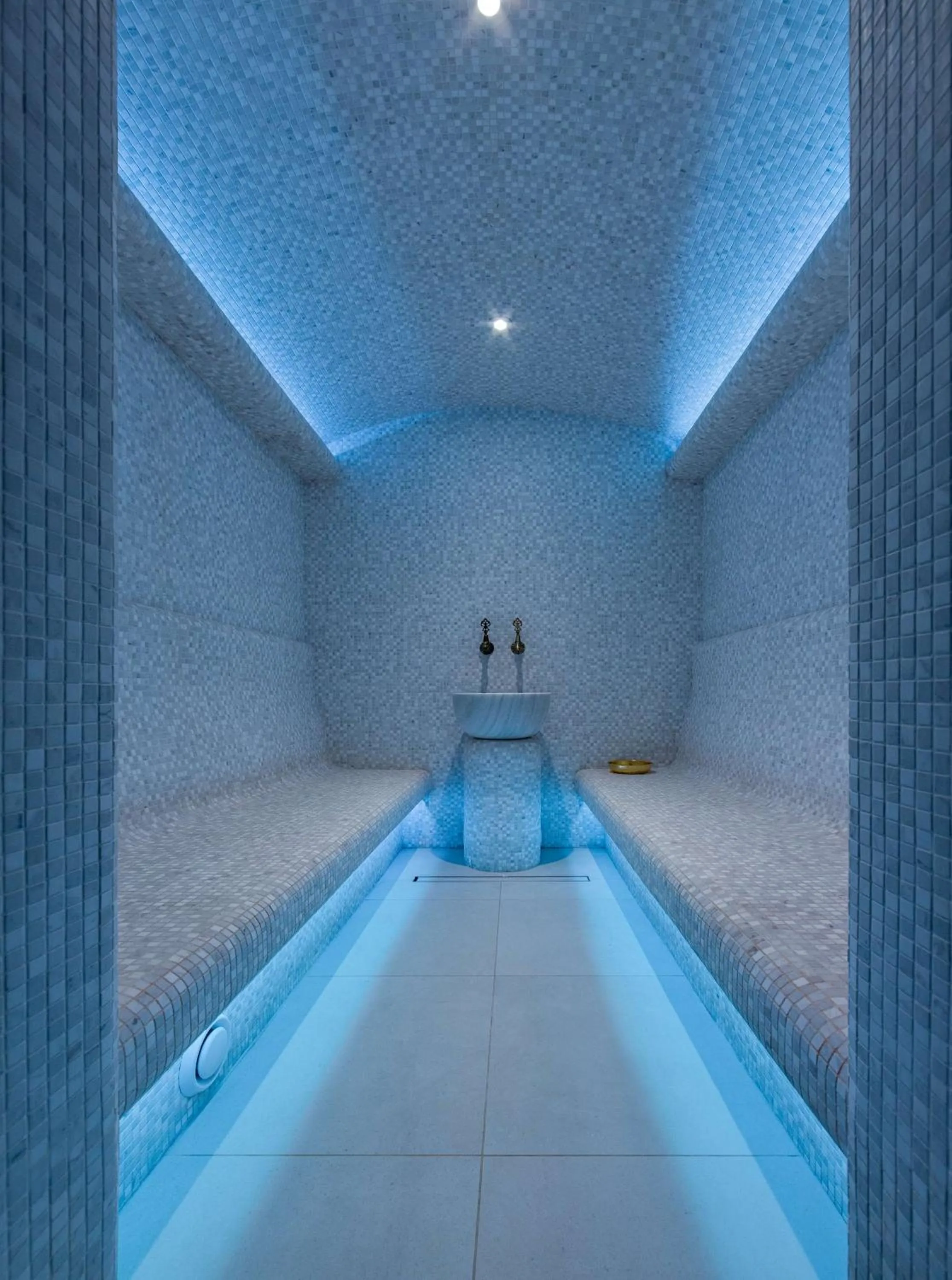 Spa and wellness centre/facilities in Radisson Blu Hotel, Kyiv City Centre