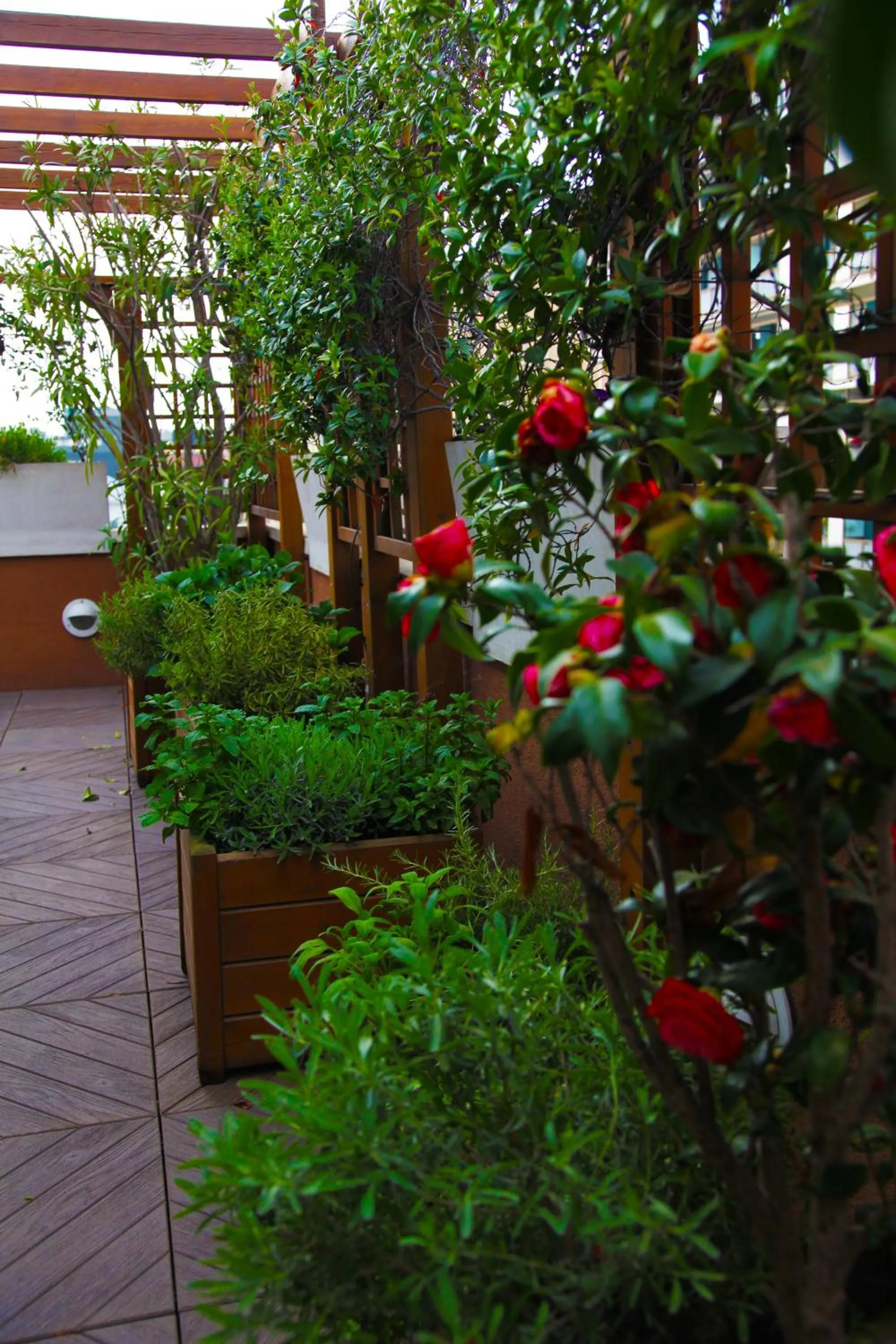 Other in Hotel Metrò