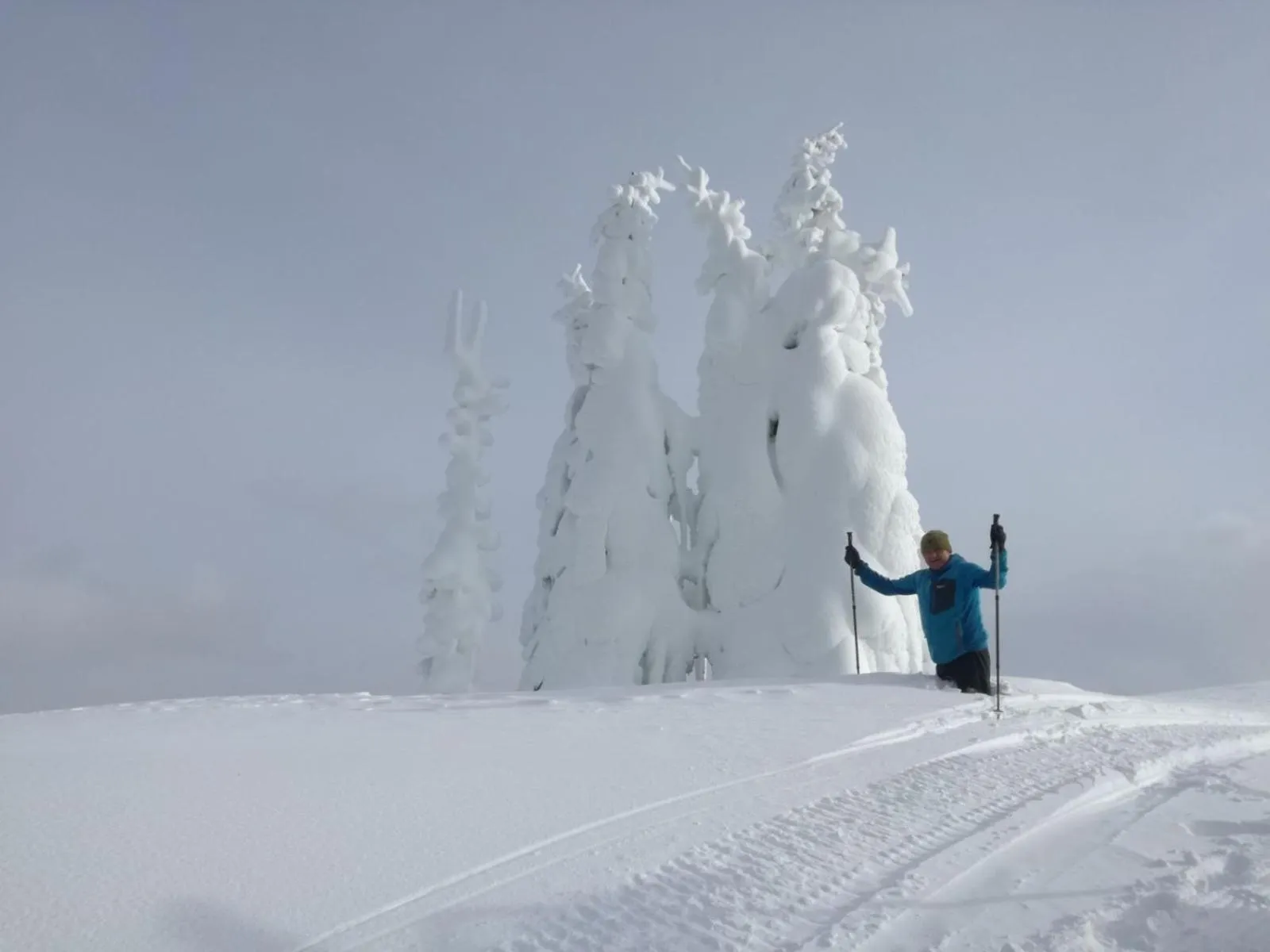 Winter in Familien & Wander-Pension Purkhardt