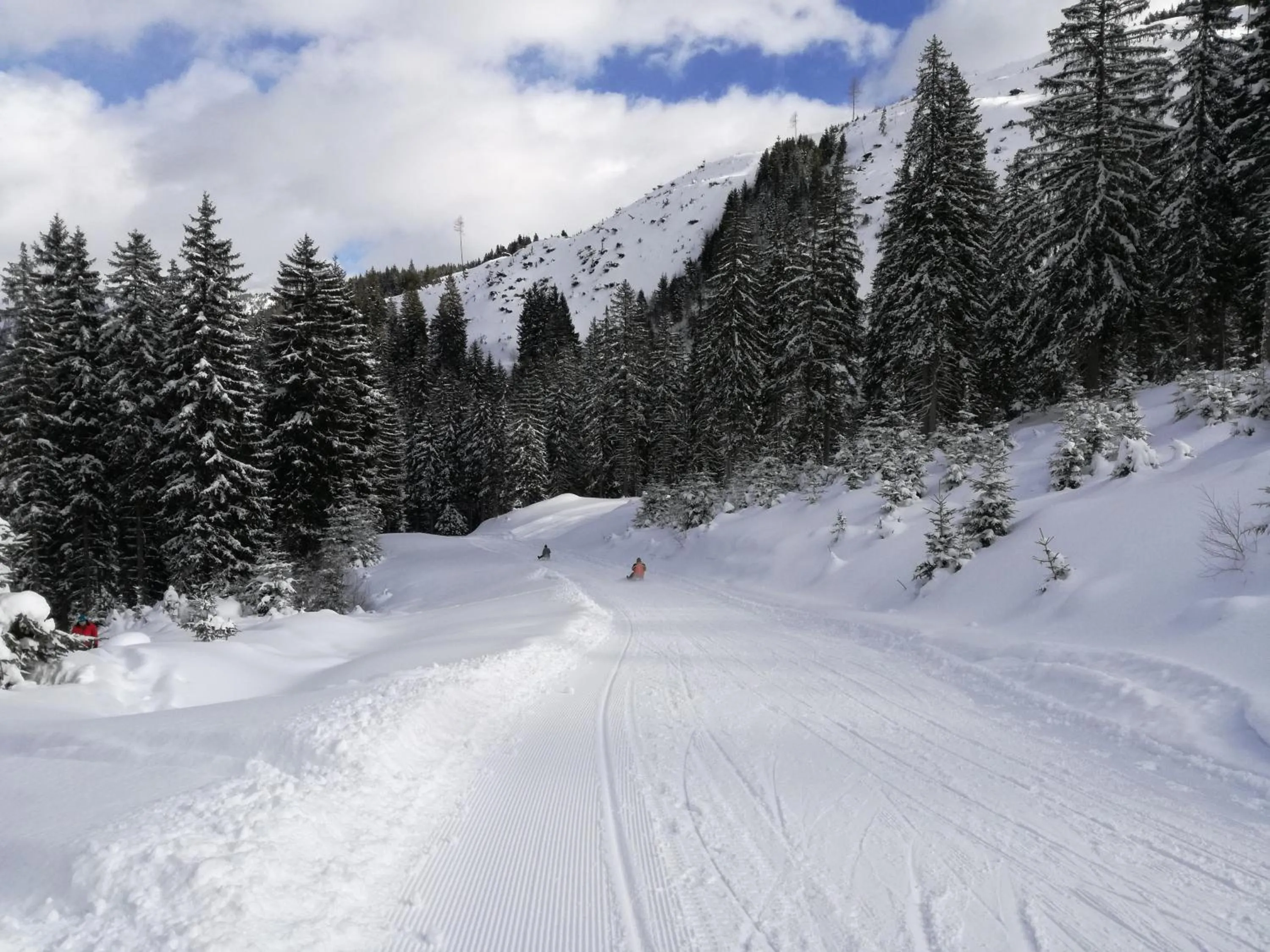 Winter in Familien & Wander-Pension Purkhardt