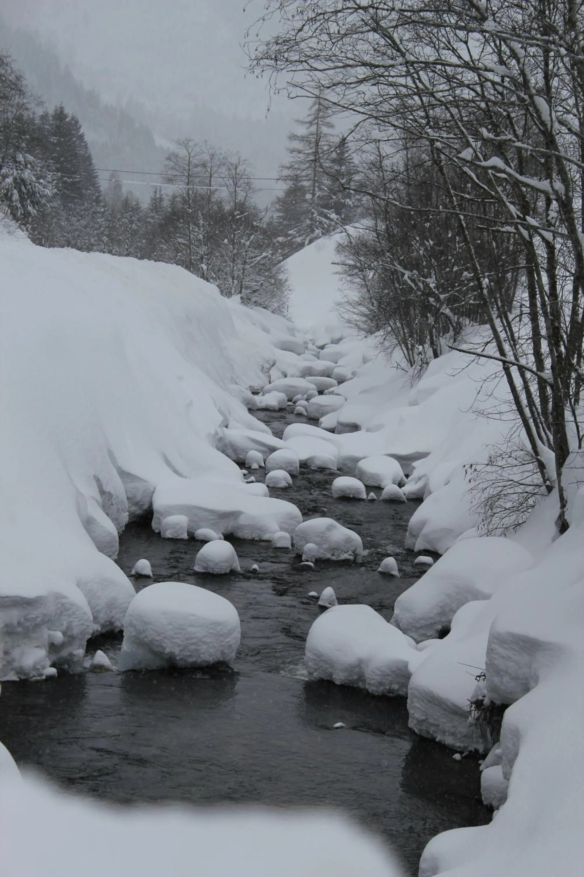 Property building in Familien & Wander-Pension Purkhardt