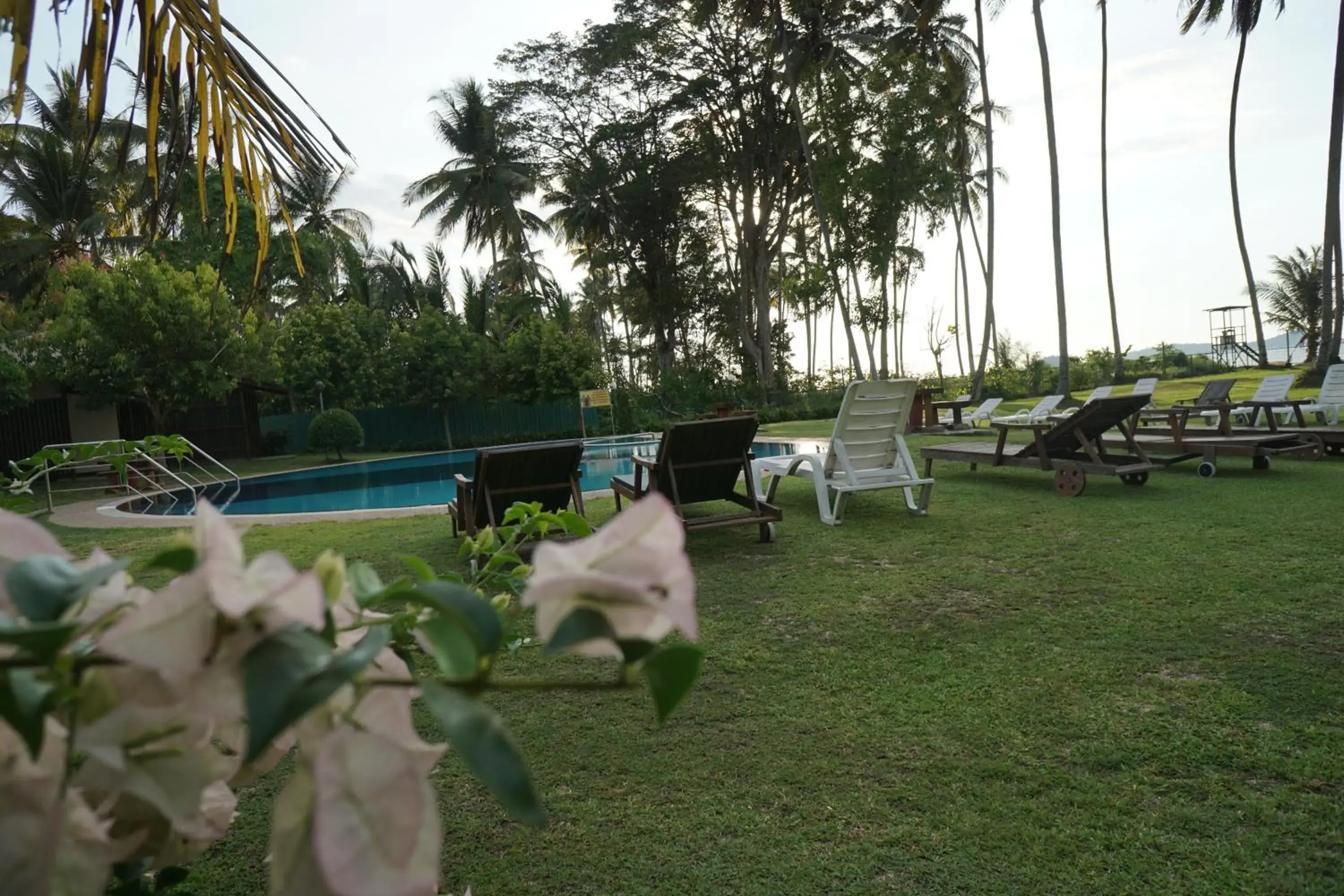 Swimming pool in Langkah Syabas Beach Resort