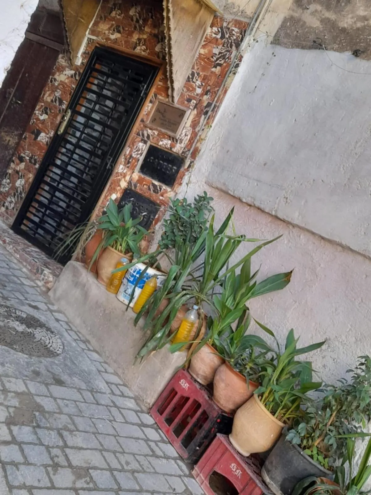 Property building in Dar Elkorchi
