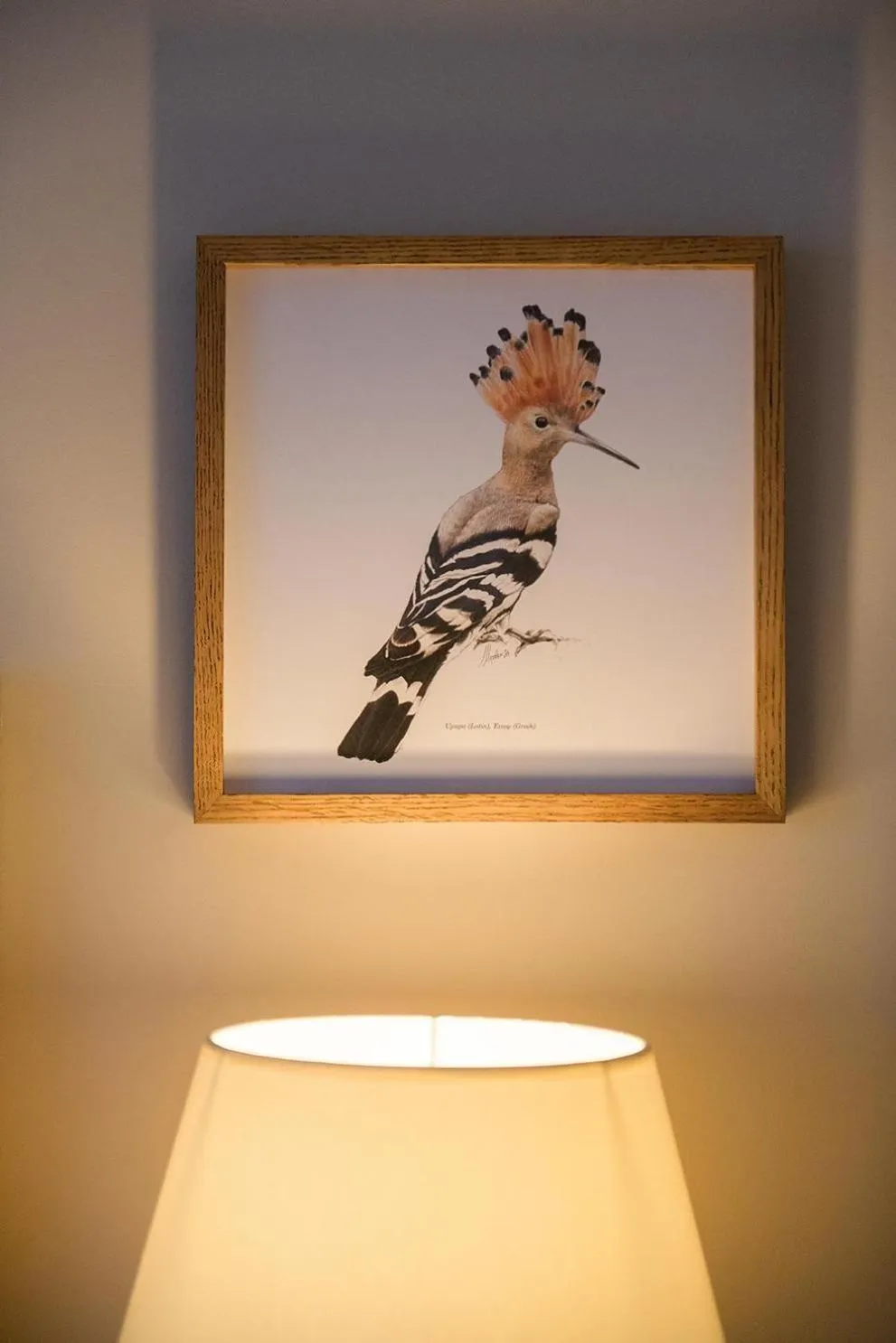 Photo of the whole room in Makryammos