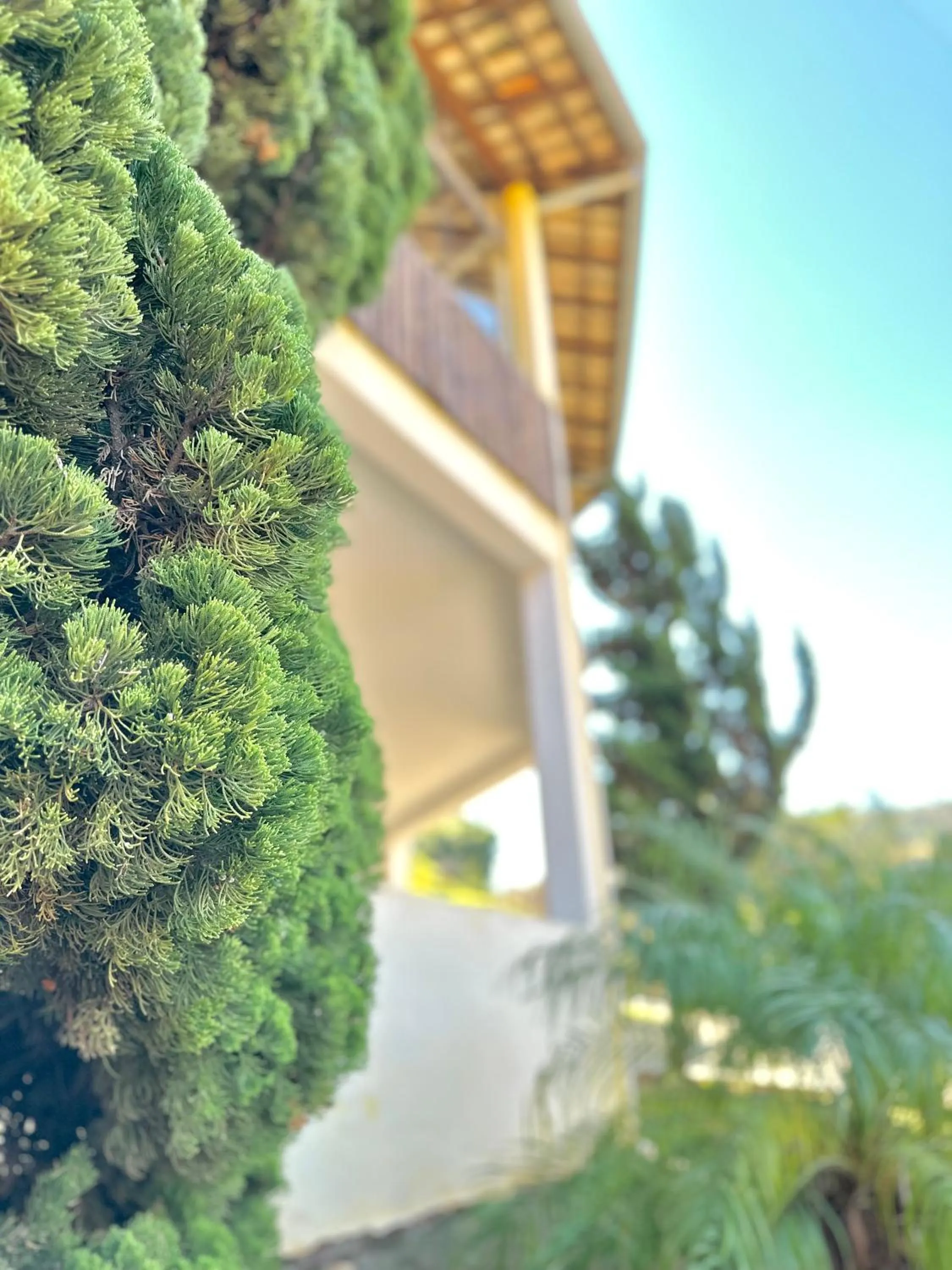 Garden in Pousada Fecho da Serra