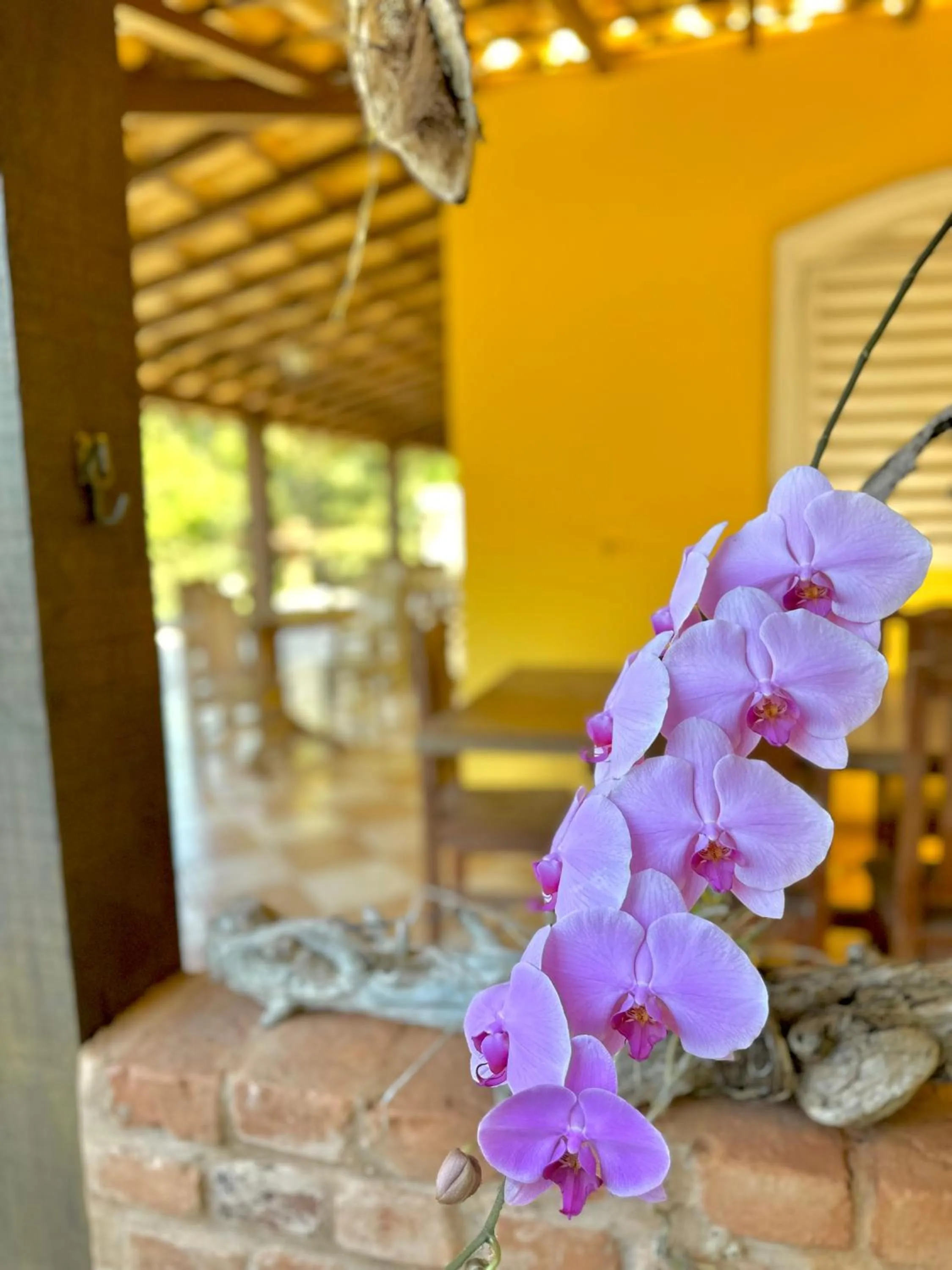 Garden in Pousada Fecho da Serra