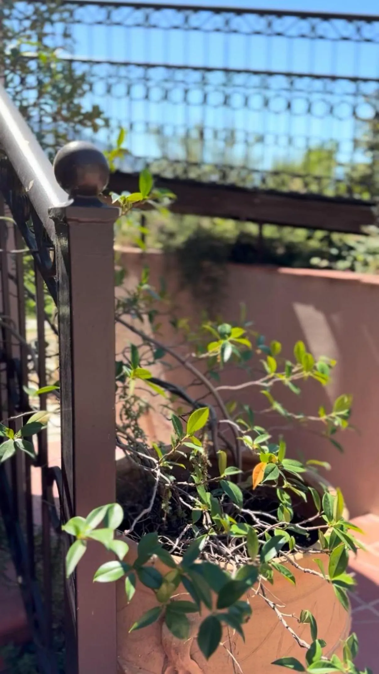 Epavlis Meteora Suites Hotel